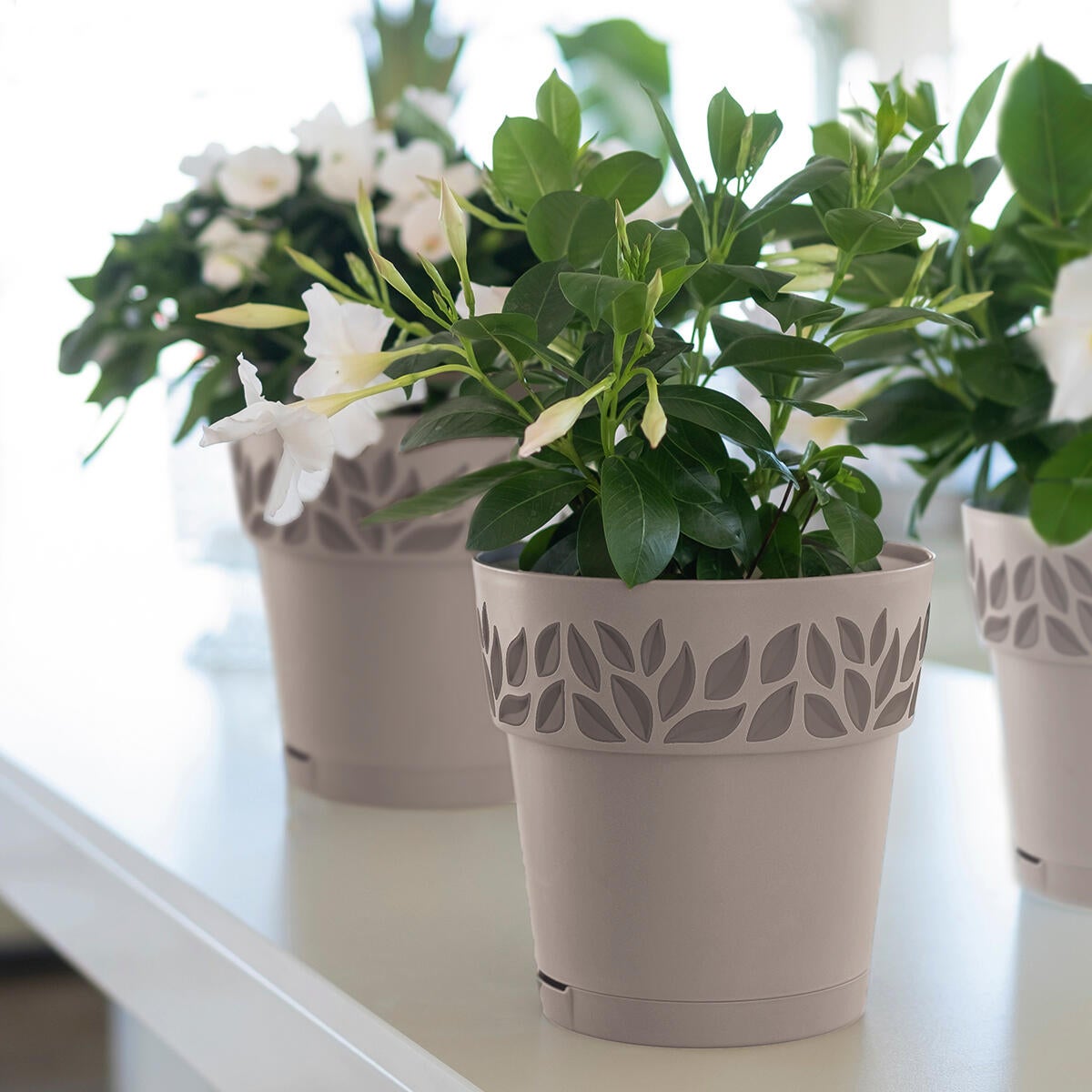 Vaso per piante e fiori OPERA CLOE STEFANPLAST in polipropilene tortora H 15 cm Ø 15 cm - 2