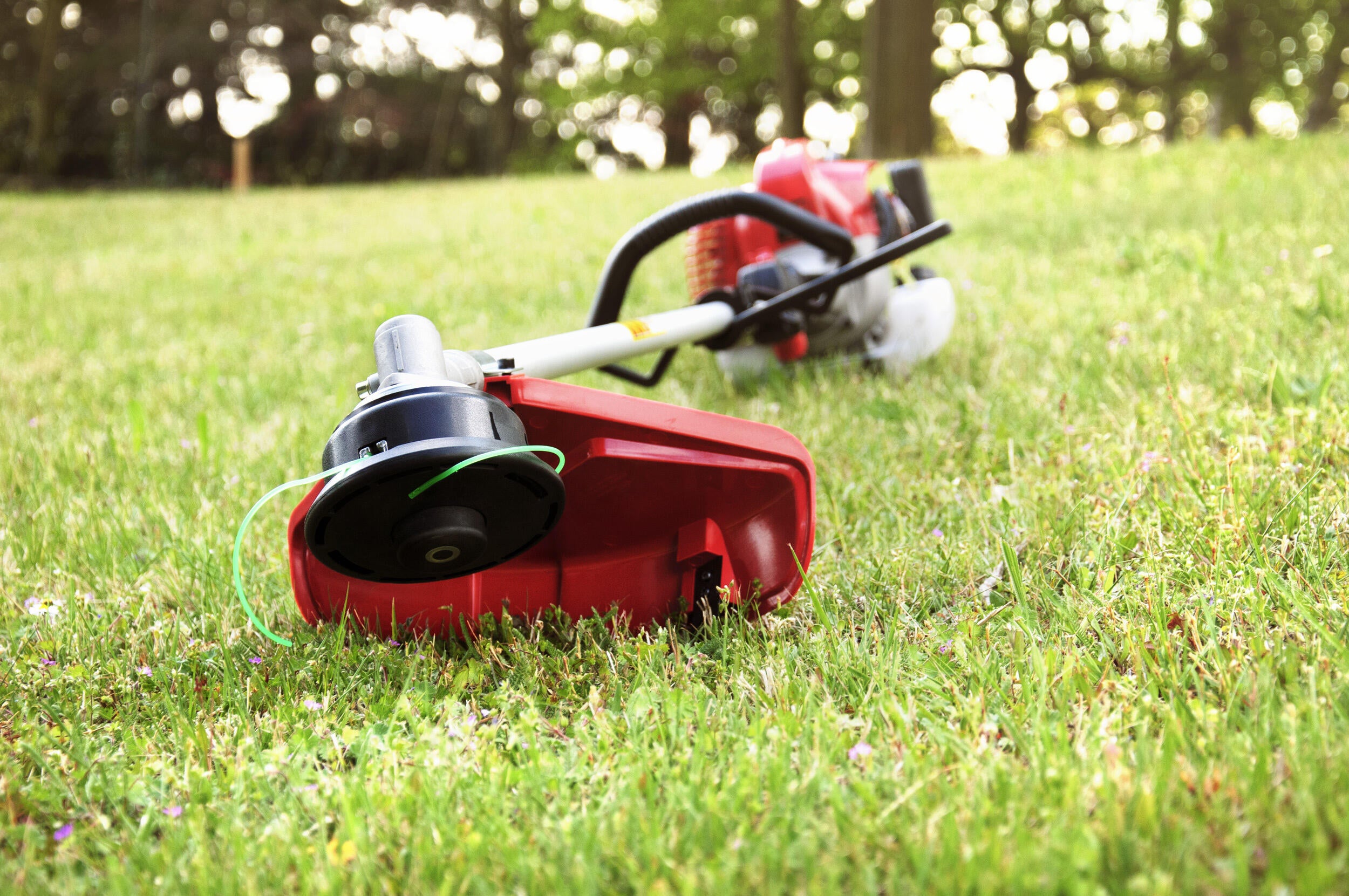 Decespugliatore a scoppio 2 tempi 43 cm in acciaio LM43S impugnatura a d con testa in nylon 2 fili - 4