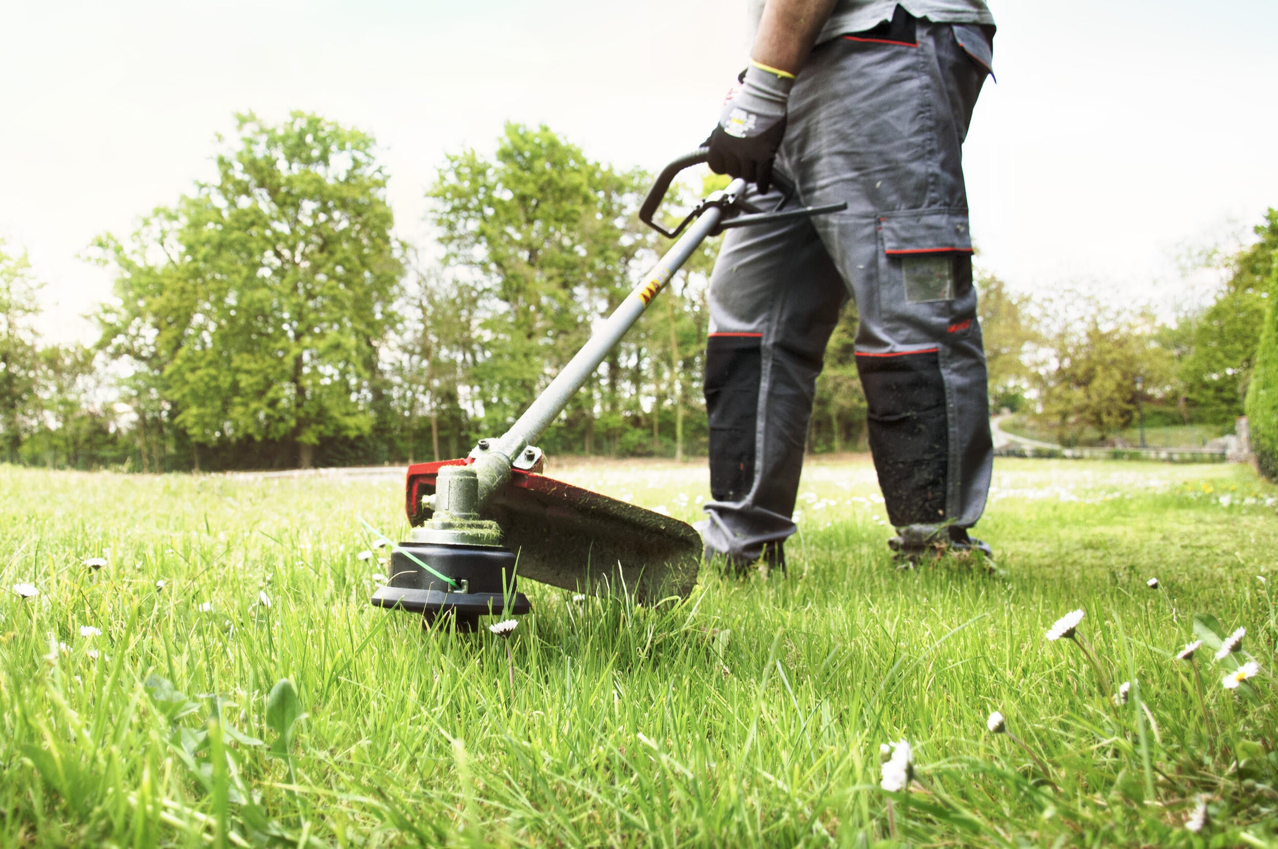 Decespugliatore a scoppio 2 tempi 43 cm in acciaio LM43S impugnatura a d con testa in nylon 2 fili - 3