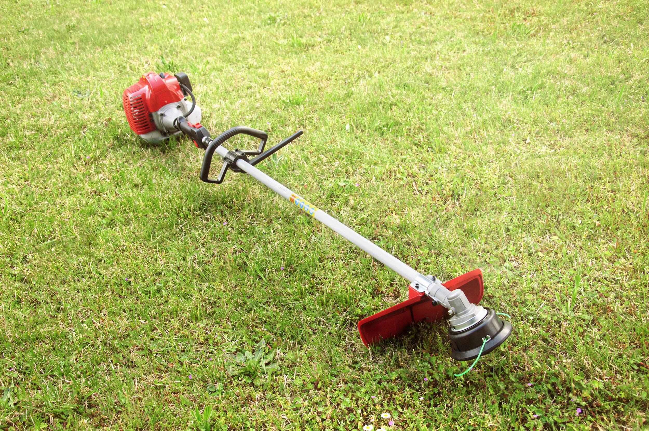 Decespugliatore a scoppio 2 tempi 43 cm in acciaio LM43S impugnatura a d con testa in nylon 2 fili - 2