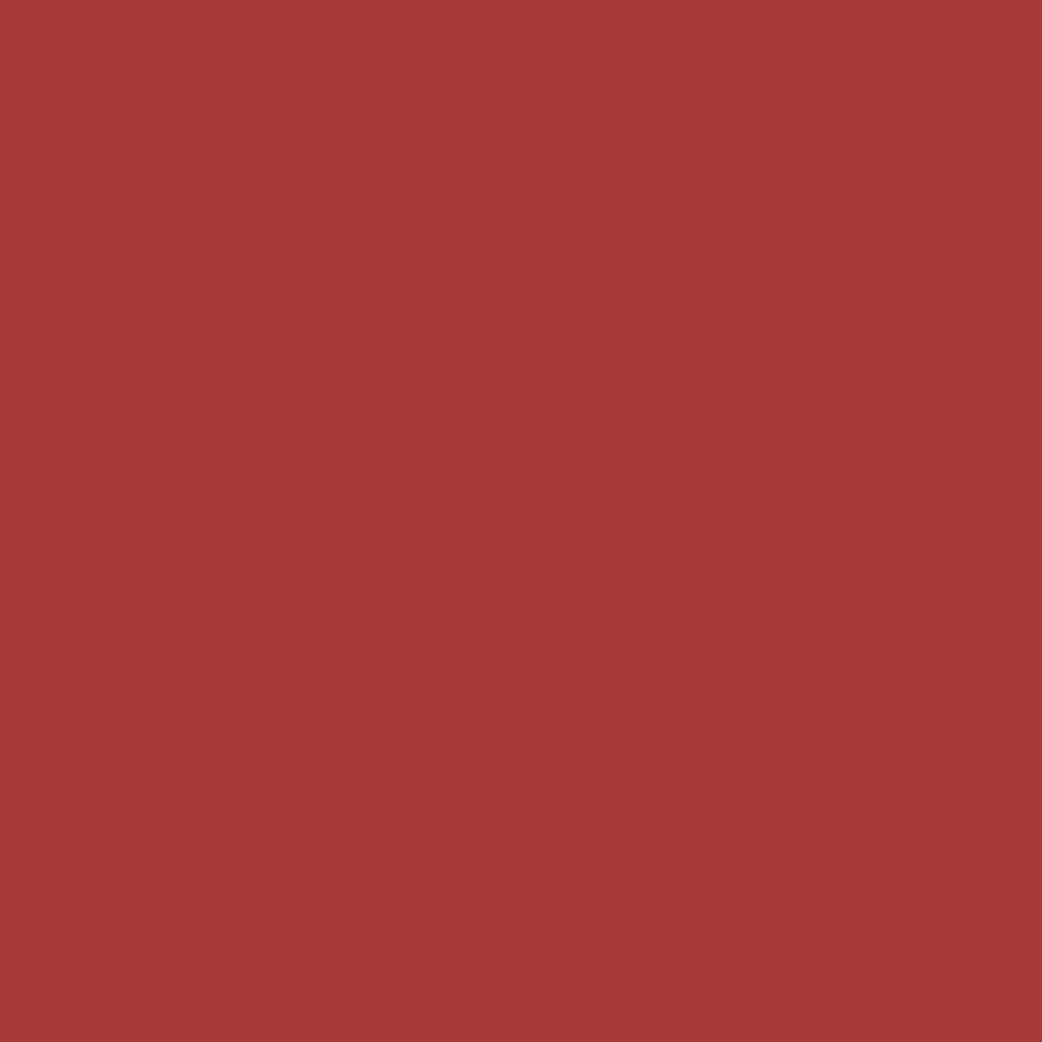 Pittura per interni per parete e soffitto super lavabile, MAXMEYER HOME COLOR igienizzante rosso Scarlet opaco profondo, 2.5 L - 2
