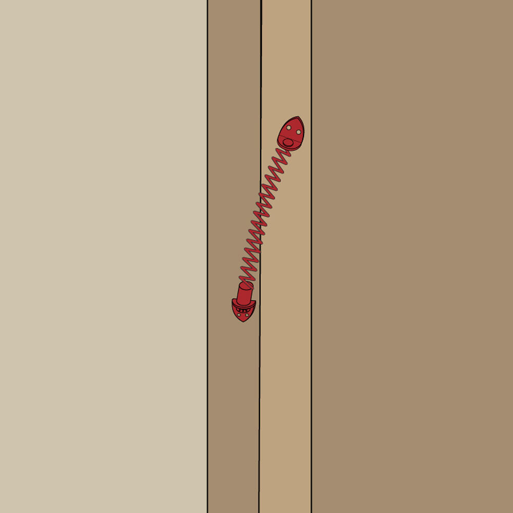 Ferme-porte à ressort spirale en acier noir, L.283 mm porte 80 kg AFBAT - 3