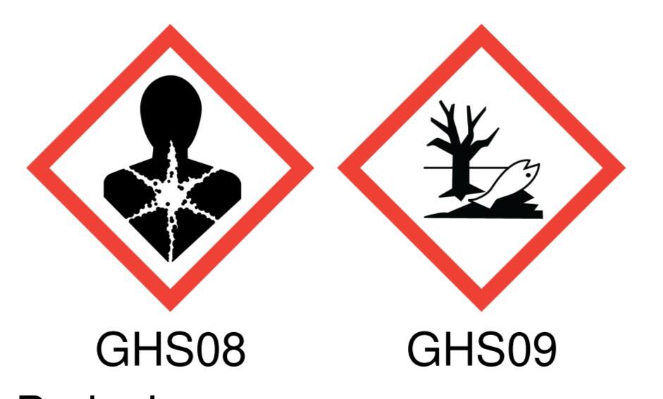 Antitarlo TIMPEST base solvente 1 L incolore - 2