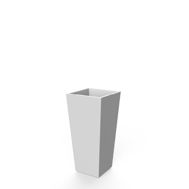 Blanco