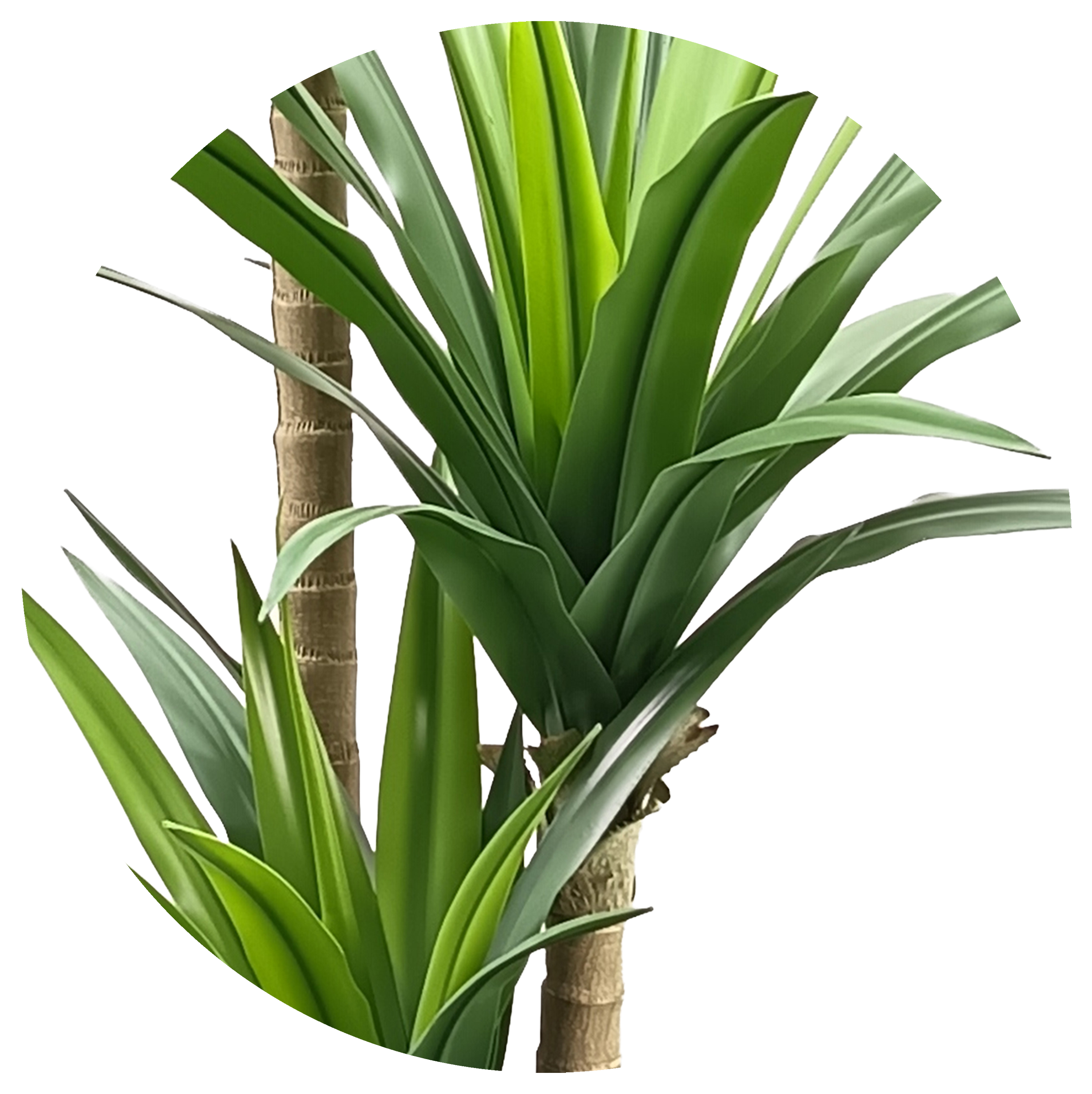 Planta artificial Yuca 170 cm 2 tallos - 3