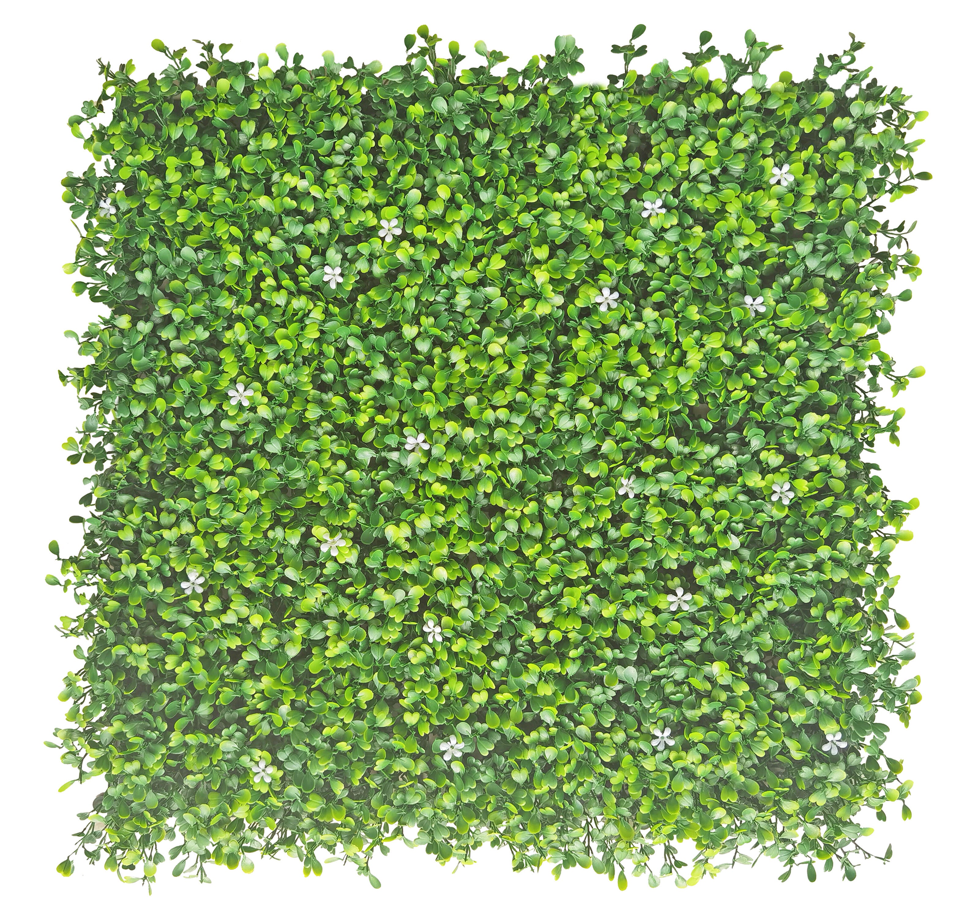 Jardín vertical boj verde sinder con flores 50x50 cm