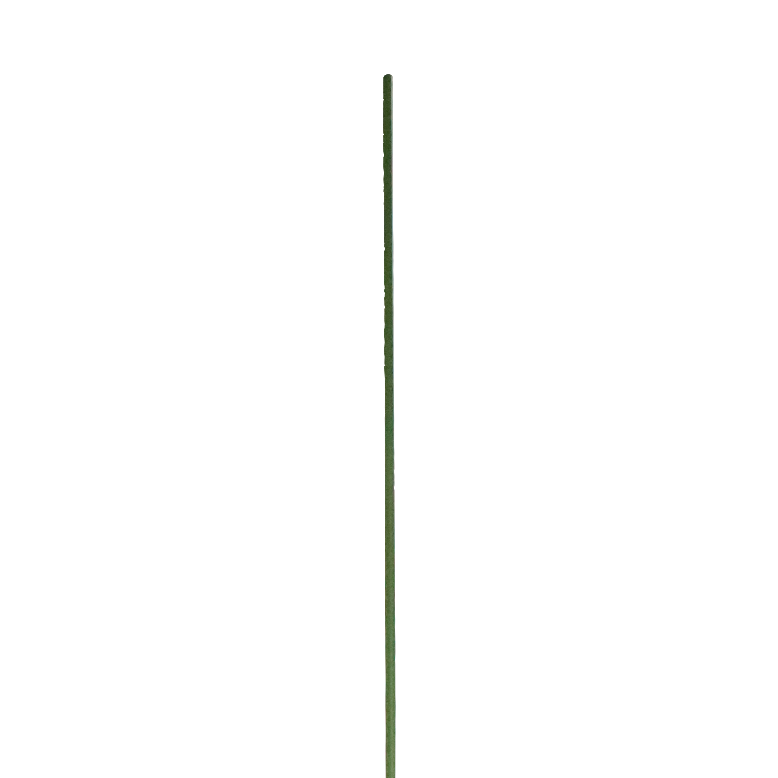 Tyczka ogrodowa podpórka do roślin 180 cm zielona