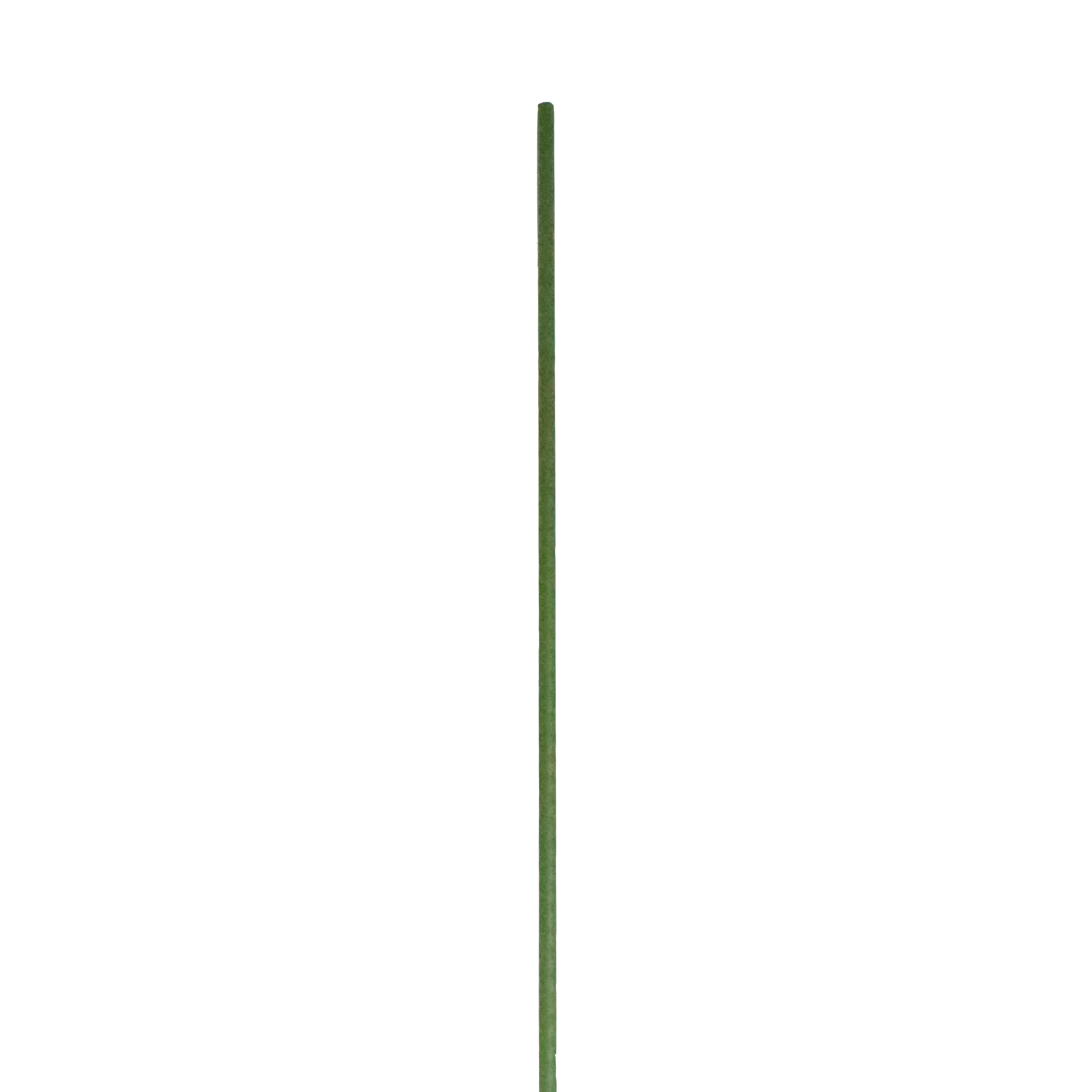 Tyczka ogrodowa podpórka do roślin 150 cm zielona