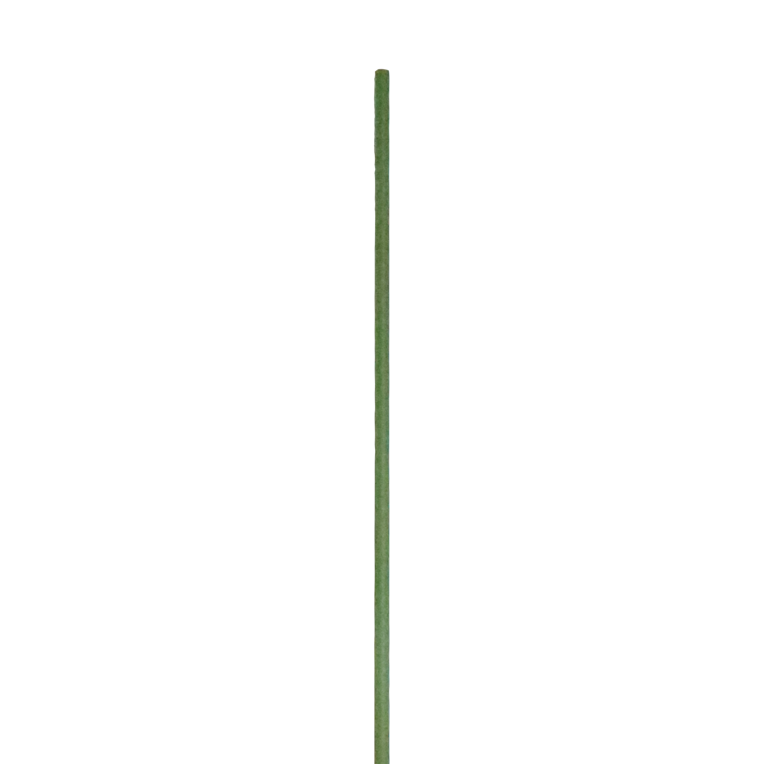 Tyczka ogrodowa podpórka do roślin 120 cm zielona