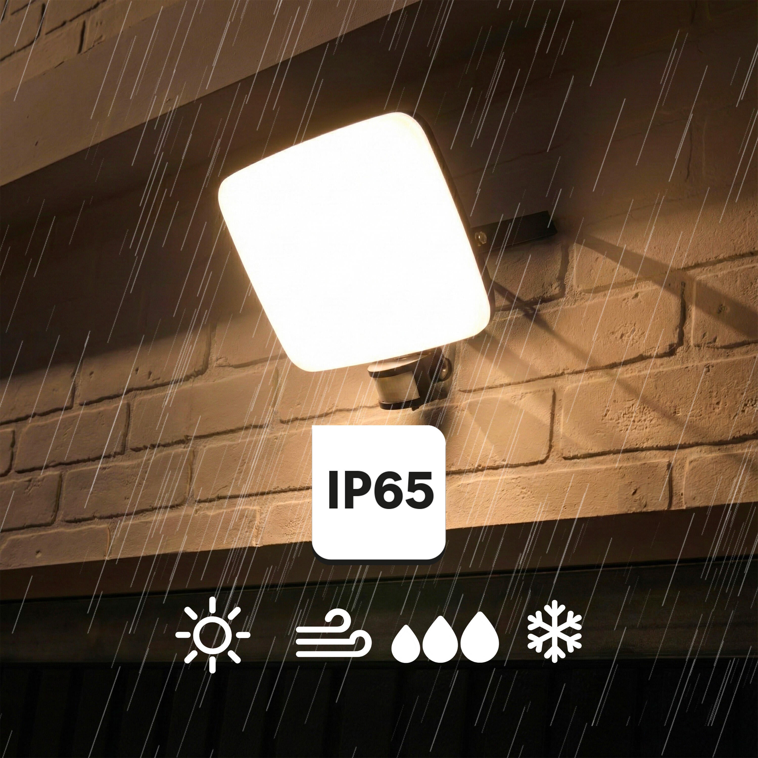 IP65 - 2