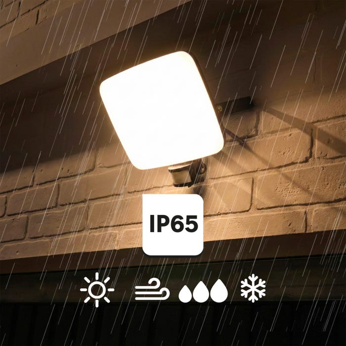IP65
