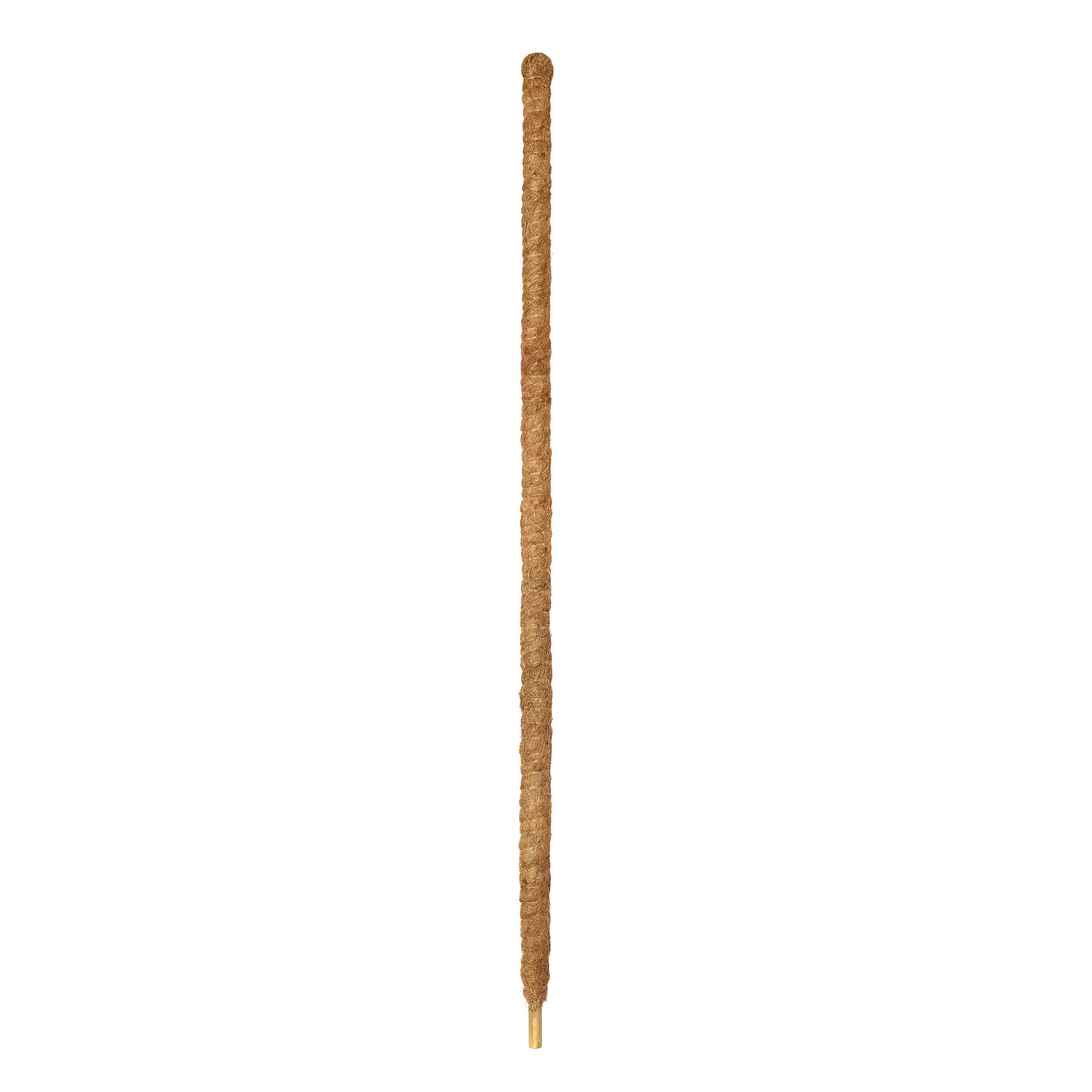 Palik kokosowy 150x4.2 cm - 2