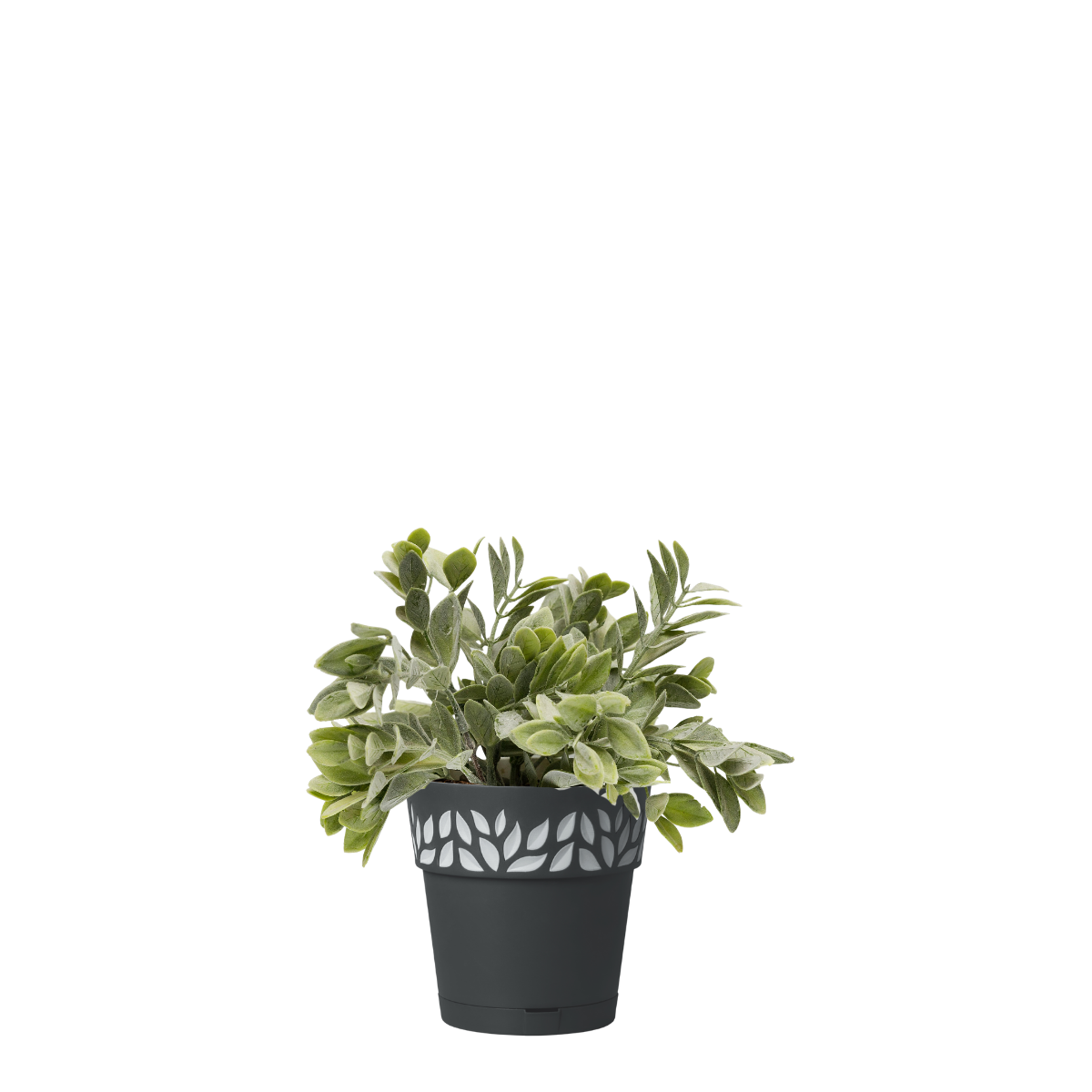 Vaso e piattino Opera Cloe STEFANPLAST in polipropilene grigio H 15 x ø 15 cm - 3