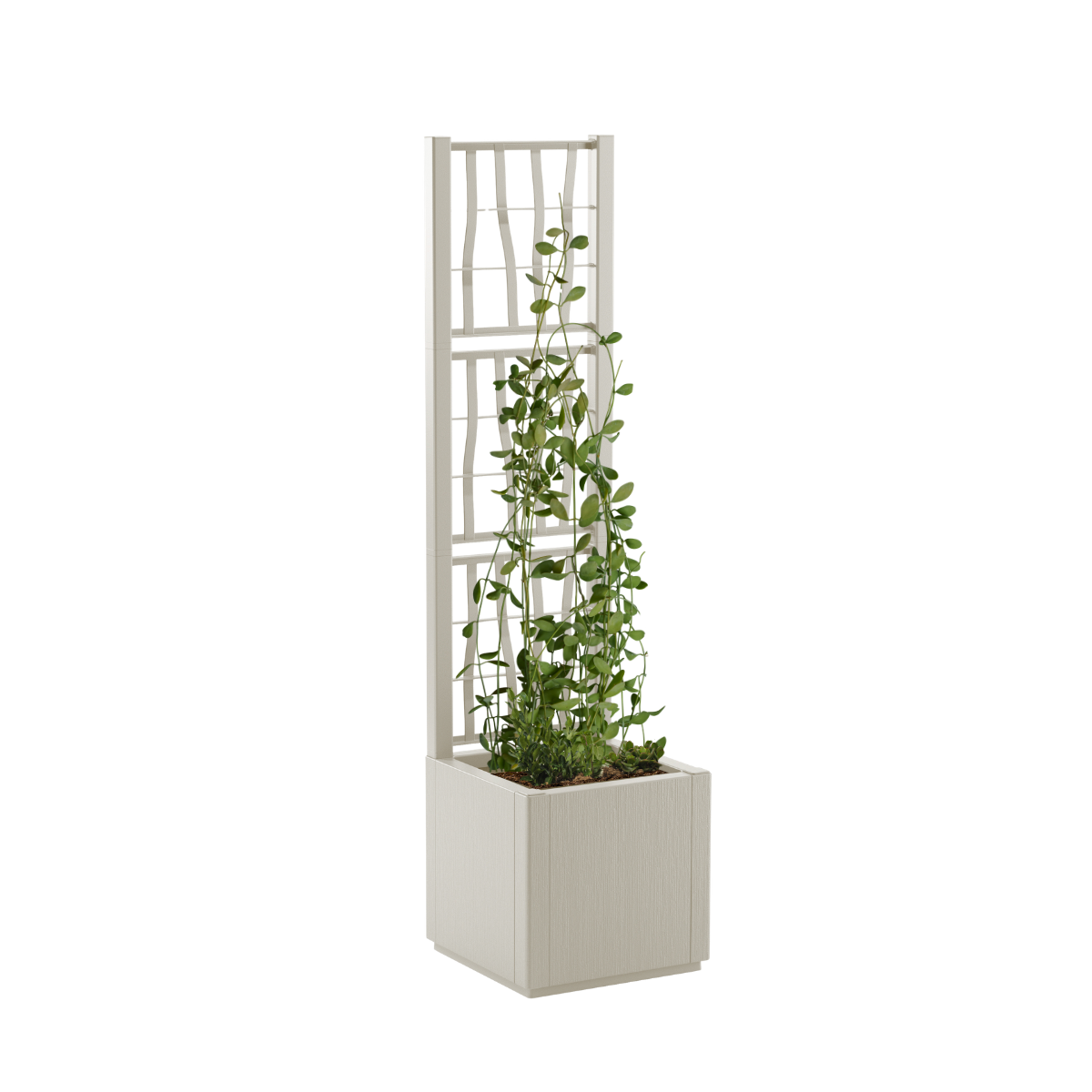 Fioriera con grigliato Ethica STEFANPLAST in polipropilene avorio H 140 x L 36 x P 36 cm - 4