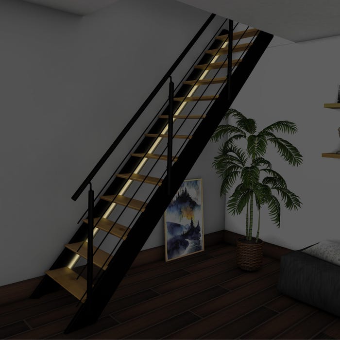 Escalier LED intégrée 