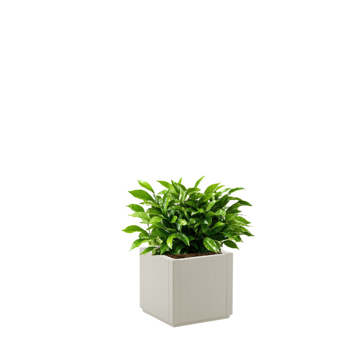 Fioriera Ethica STEFANPLAST in polipropilene bianco H 35 cm - 3