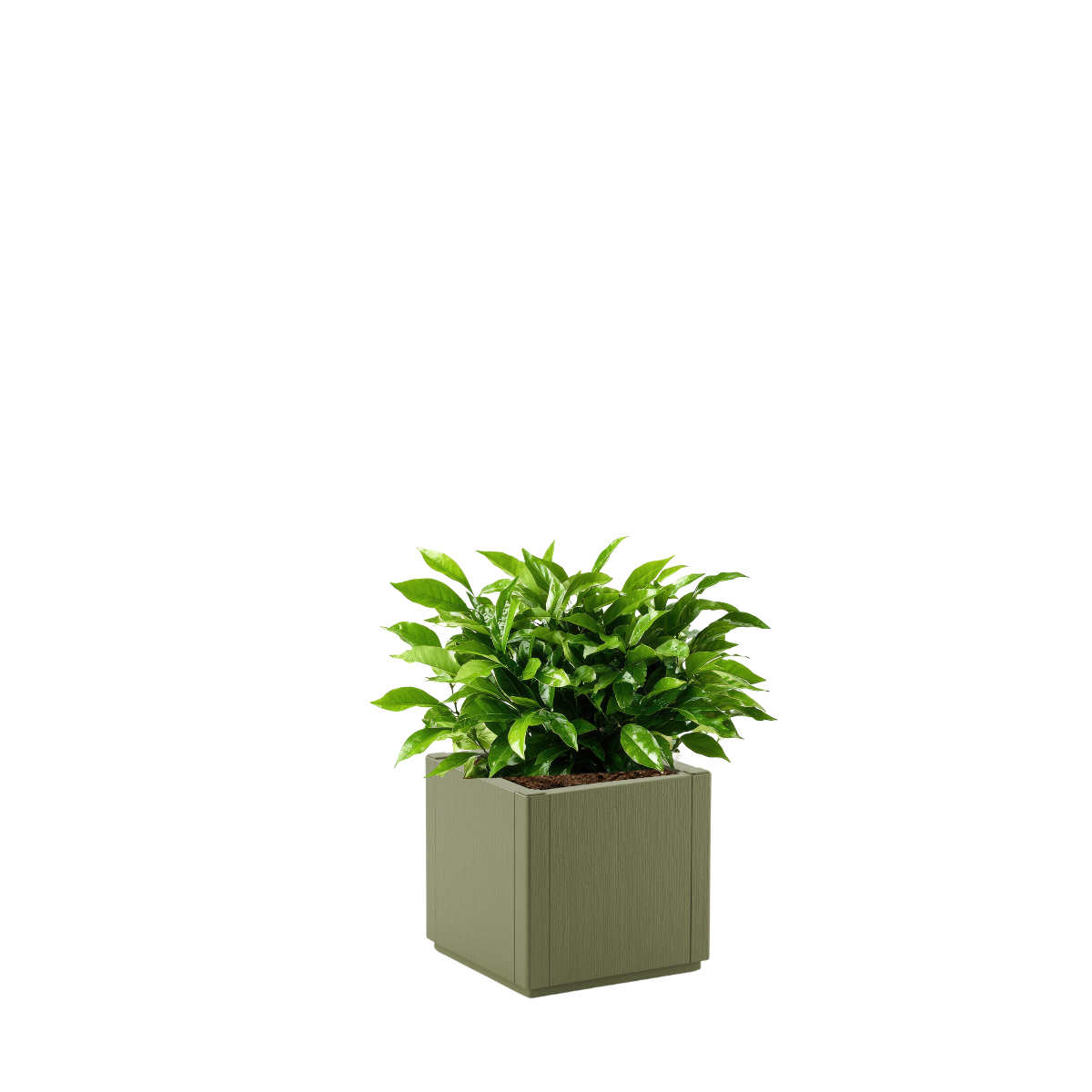 Fioriera Ethica STEFANPLAST in polipropilene verde oliva H 35 x L 36 cm - 5
