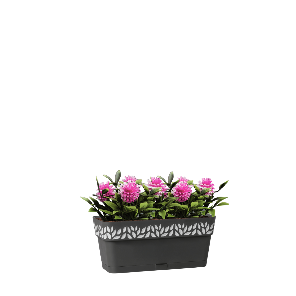 Vaso e piattino Opera Cloe STEFANPLAST in polipropilene antracite H 12 x L 50 x P 13 cm - 3