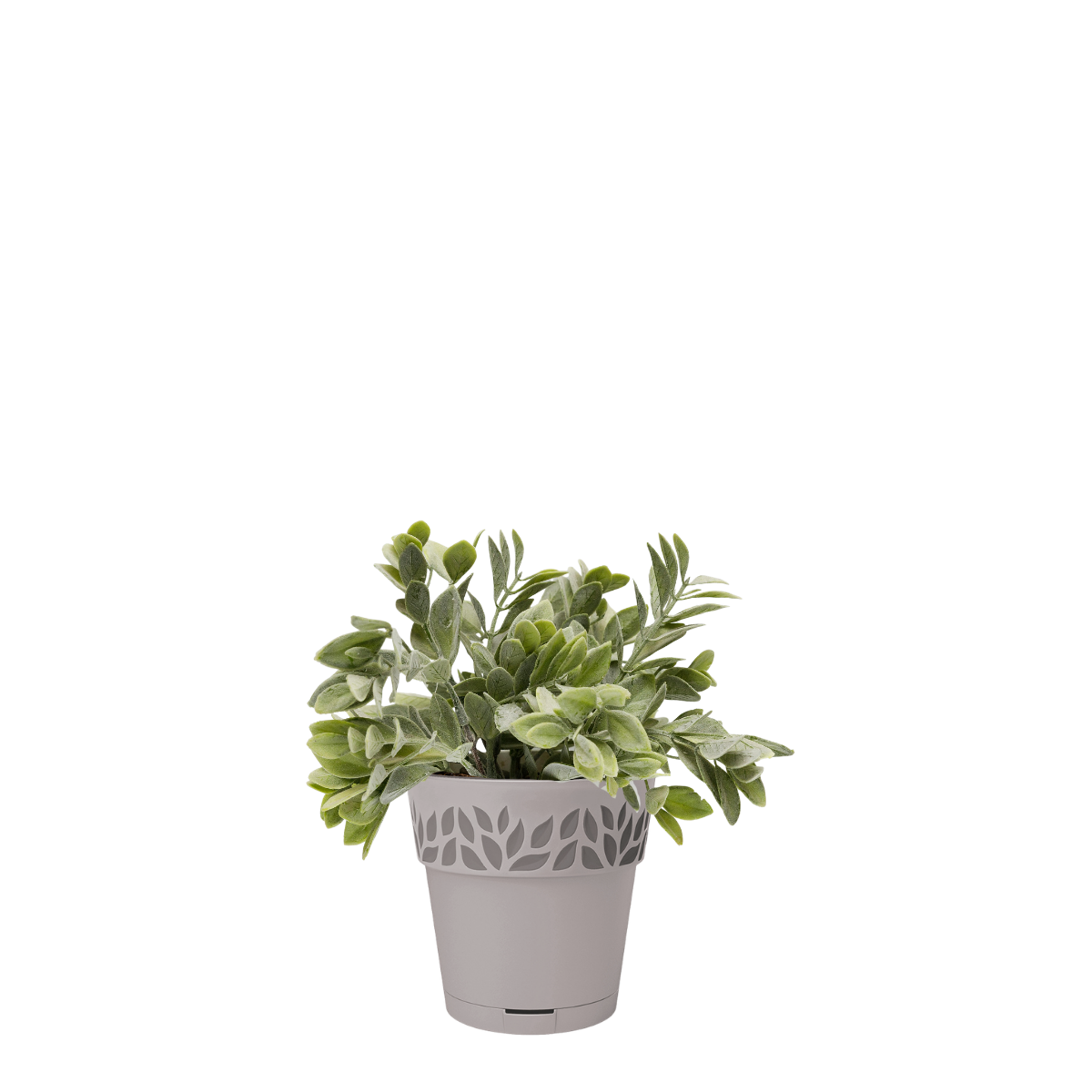 Vaso per piante e fiori OPERA CLOE STEFANPLAST in polipropilene tortora H 15 cm Ø 15 cm - 4