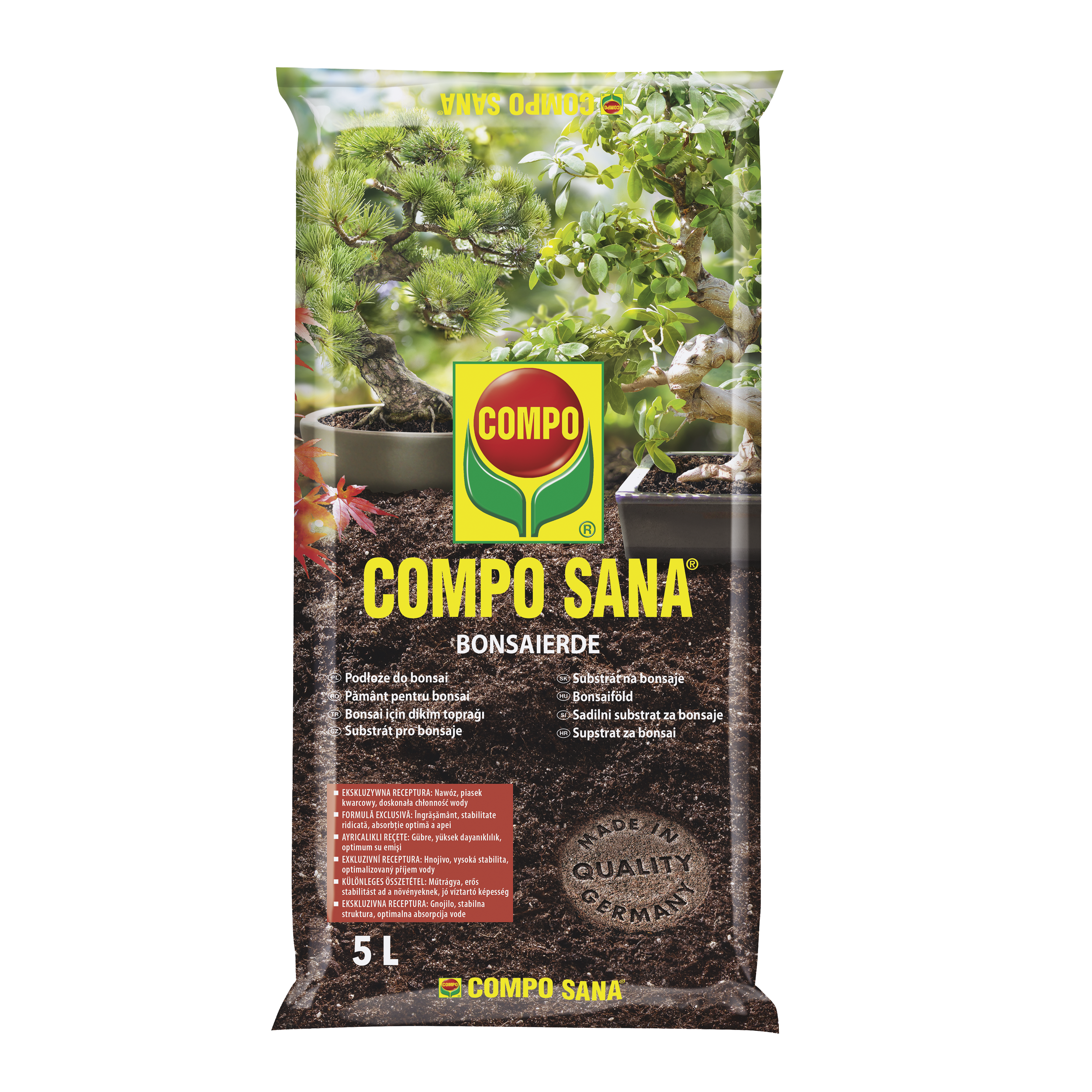 pianta bonsai Bonsai Ilex Crenata cm. 100 costo di spedizione da concordare   Floricoltura Lampugnani