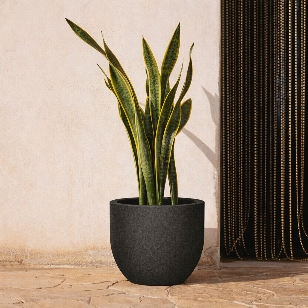 Maceta redonda de polietileno NEWGARDEN Azalea ø 30 cm y 24.7 cm altura negro - 3