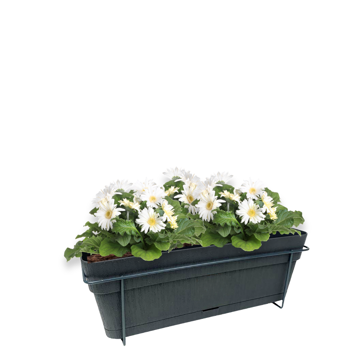 Vaso con sottovaso e supporto Ethica in polipropilene antracite L 50 x H 17 cm, 9.5 l STEFANPLAST - 3