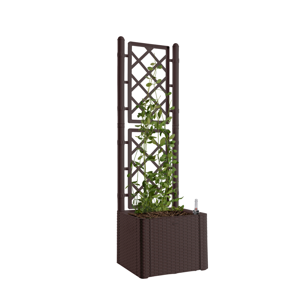 Fioriera con grigliato Deluxe STEFANPLAST in polipropilene marrone H 142 x L 43 x P 43 cm - 4