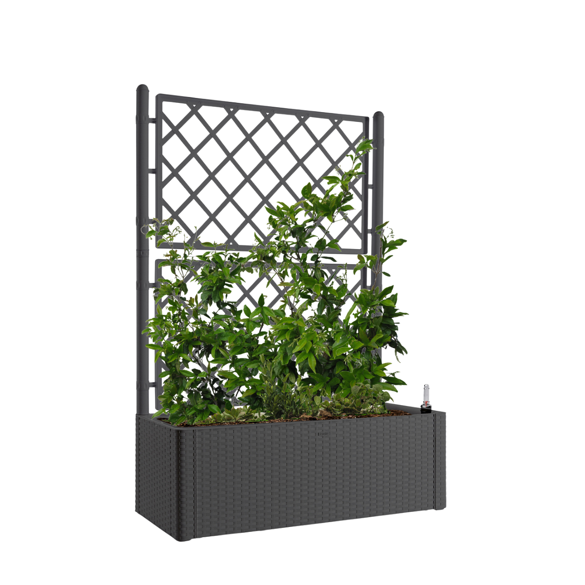 Fioriera con grigliato Deluxe STEFANPLAST in polipropilene antracite H 142 x L 100 x P 43 cm - 4