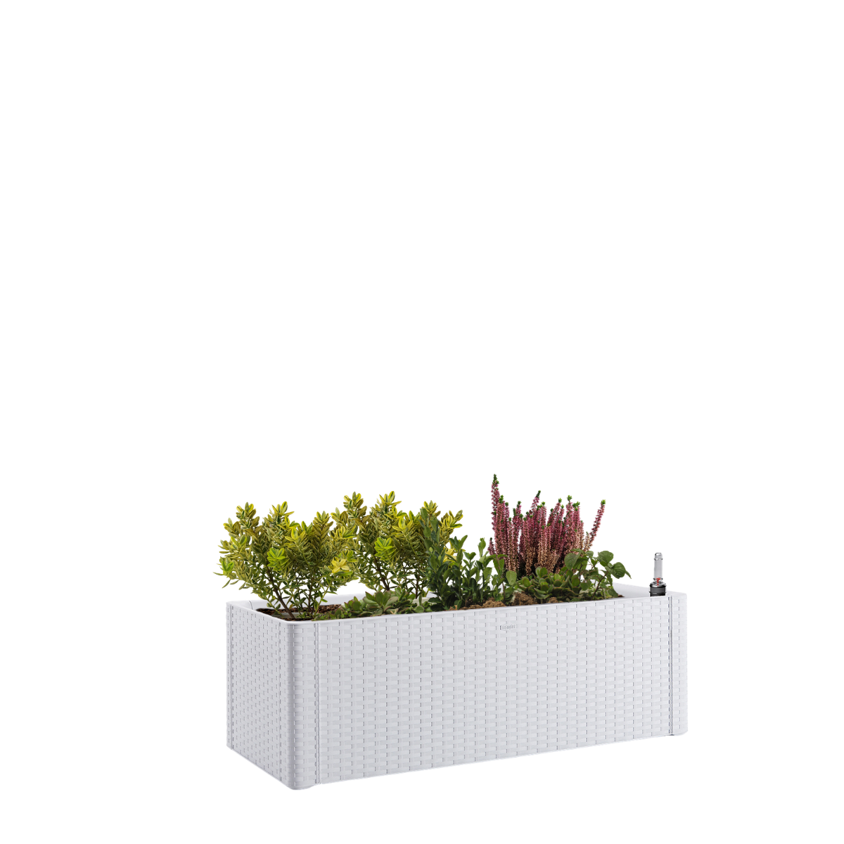 Fioriera autoirrigante Natural Deluxe STEFANPLAST in polipropilene bianco H 33 x L 100 x P 43 cm - 6