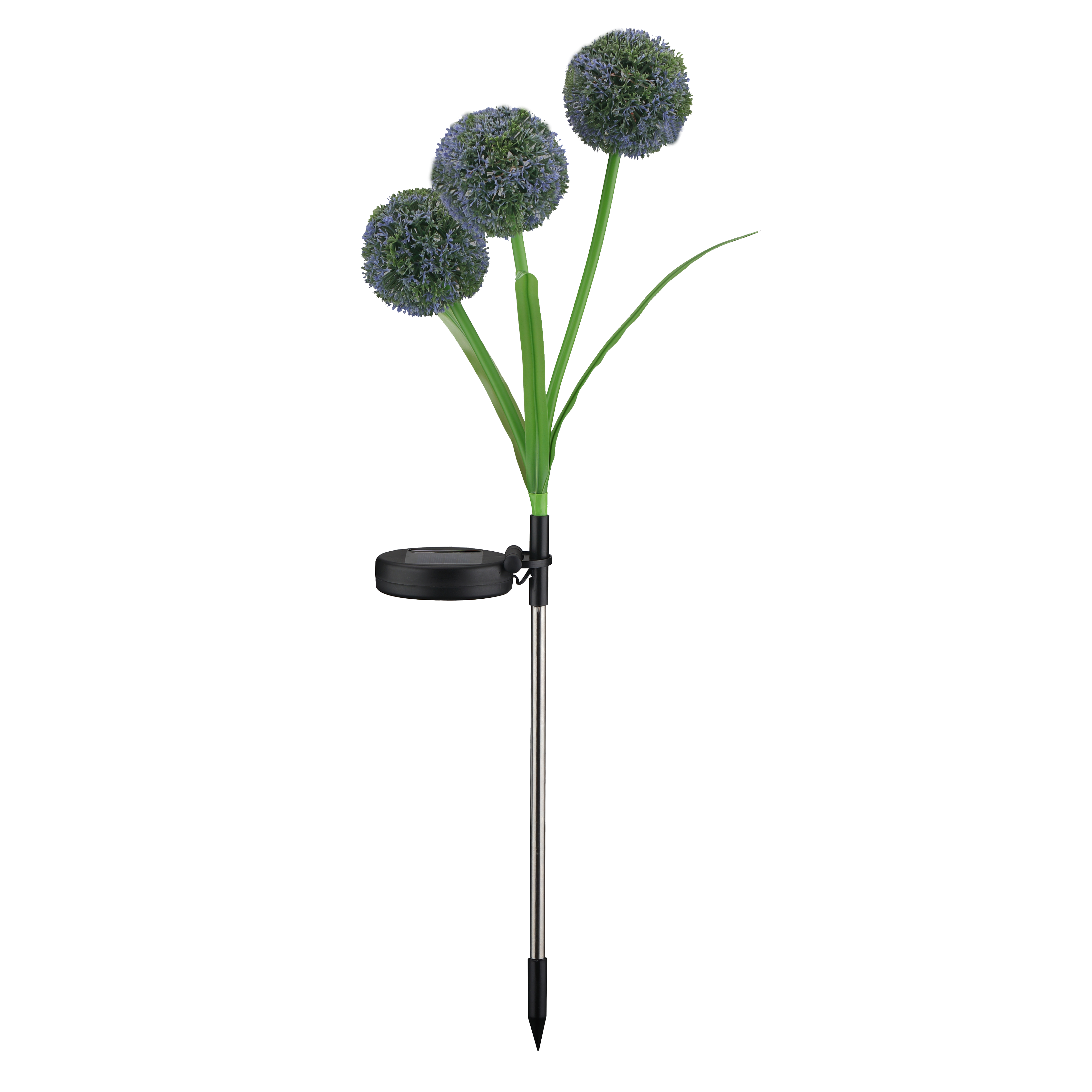 Lampa solarna wbijana Allium LED RGB IP44 kwiat czosnku ozdobnego Goldlux