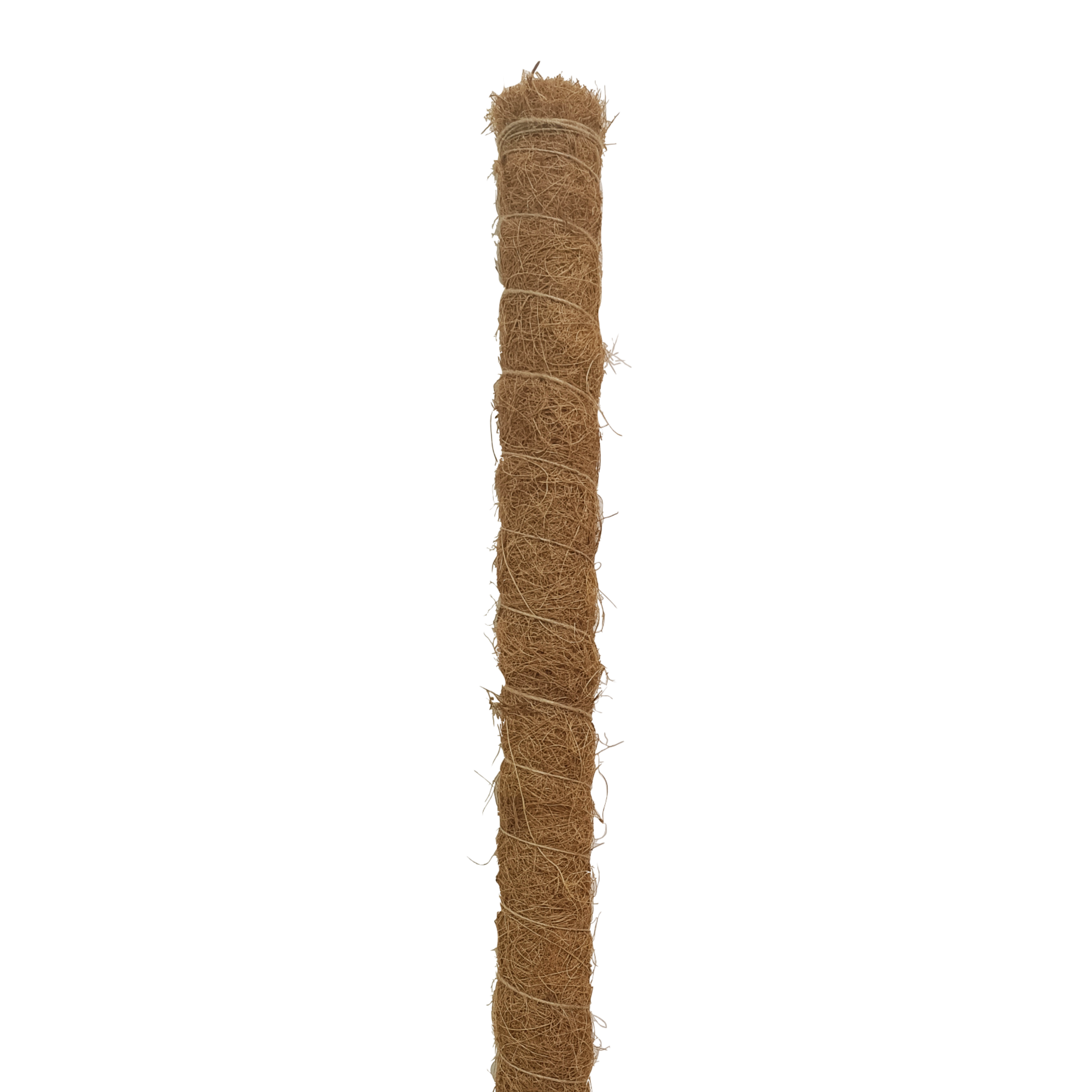 Tyczka podpórka do roślin kokosowa 60 cm