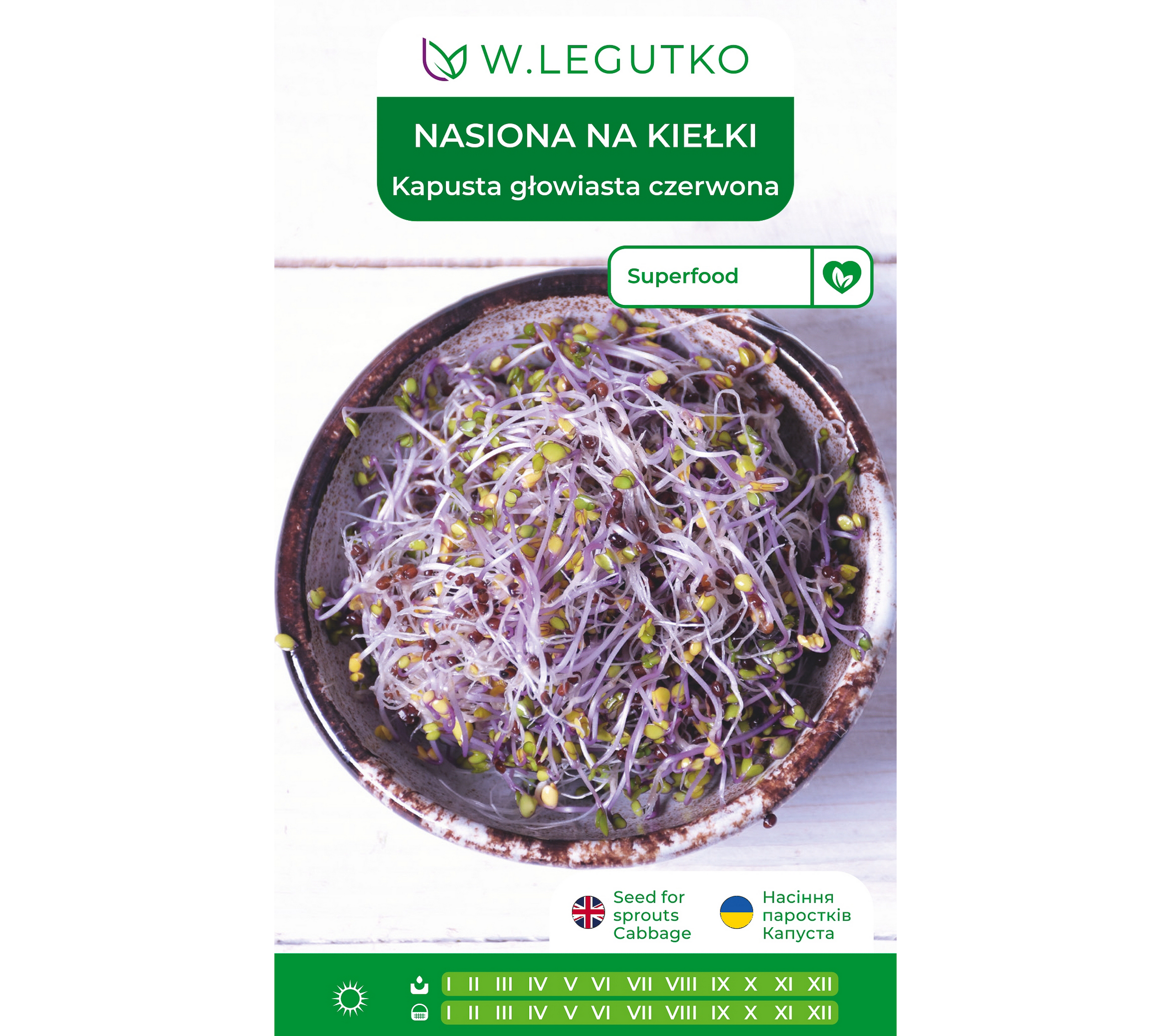 Kapusta głowiasta czerwona nasiona na kiełki 10g W. Legutko - 2