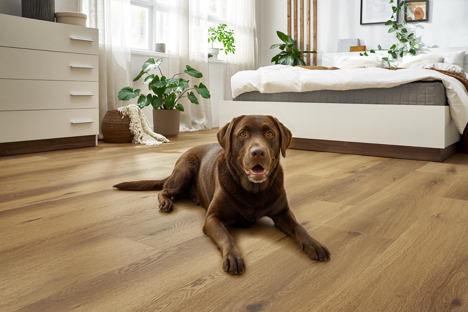 Pavimento vinílico SPC click flutuante Floornity PET FRIENDLY premium 4 + 1.3 mm com base - 13