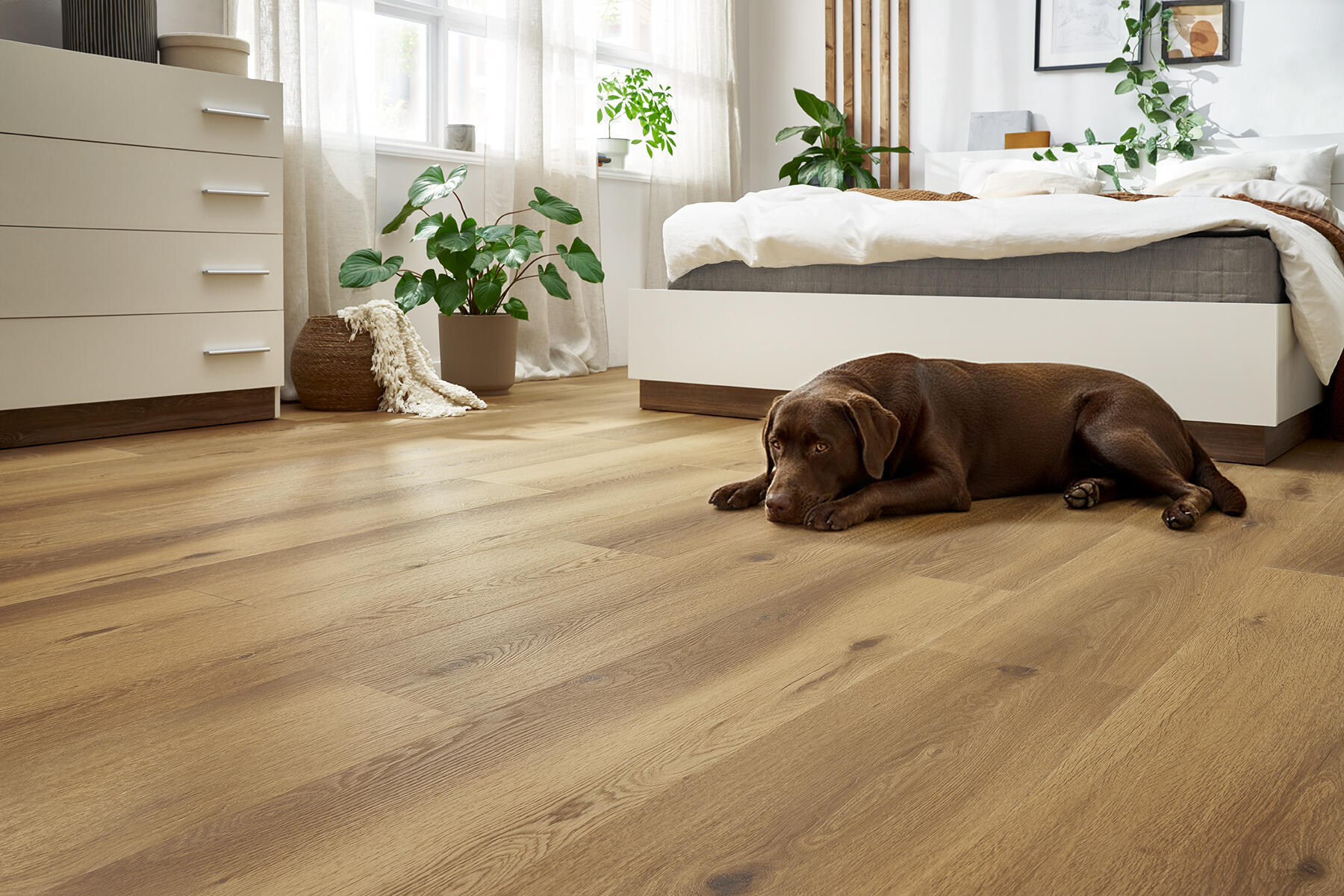 Pavimento vinílico SPC click flutuante Floornity PET FRIENDLY premium 4 + 1.3 mm com base - 3
