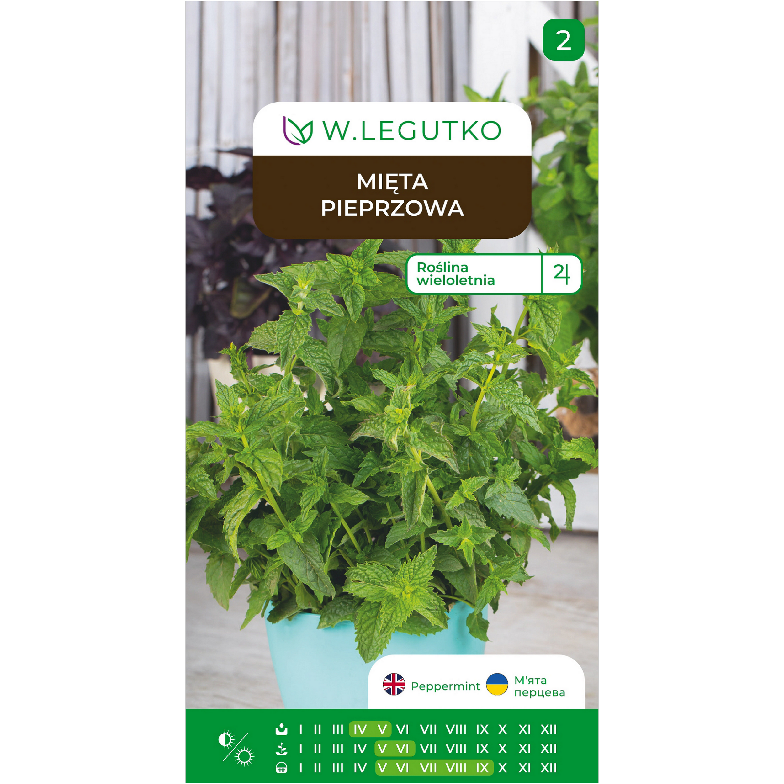 Mięta pieprzowa Mentha piperita nasiona ziół W.Legutko