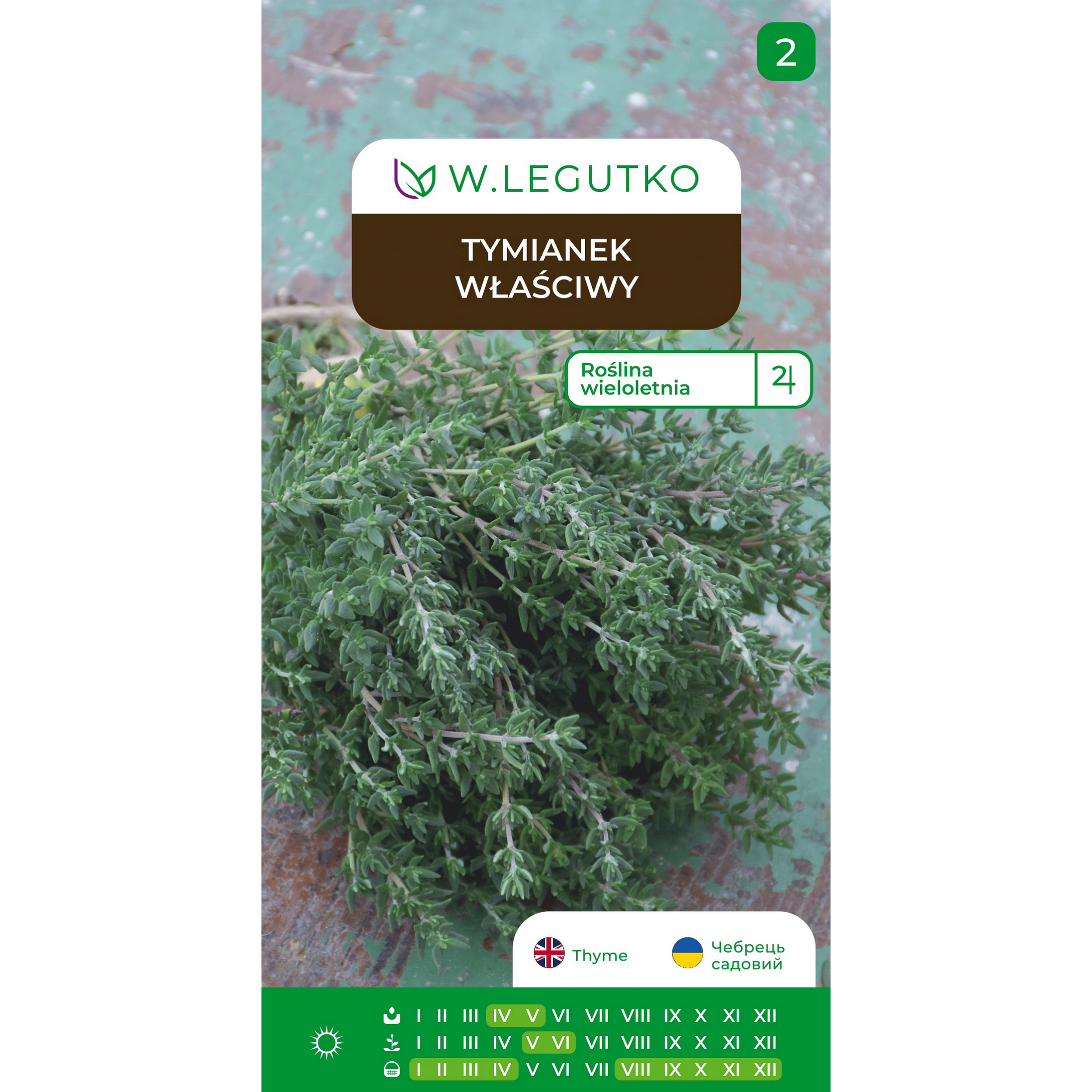 Tymianek właściwy Thymus vulgaris nasiona ziół W.Legutko