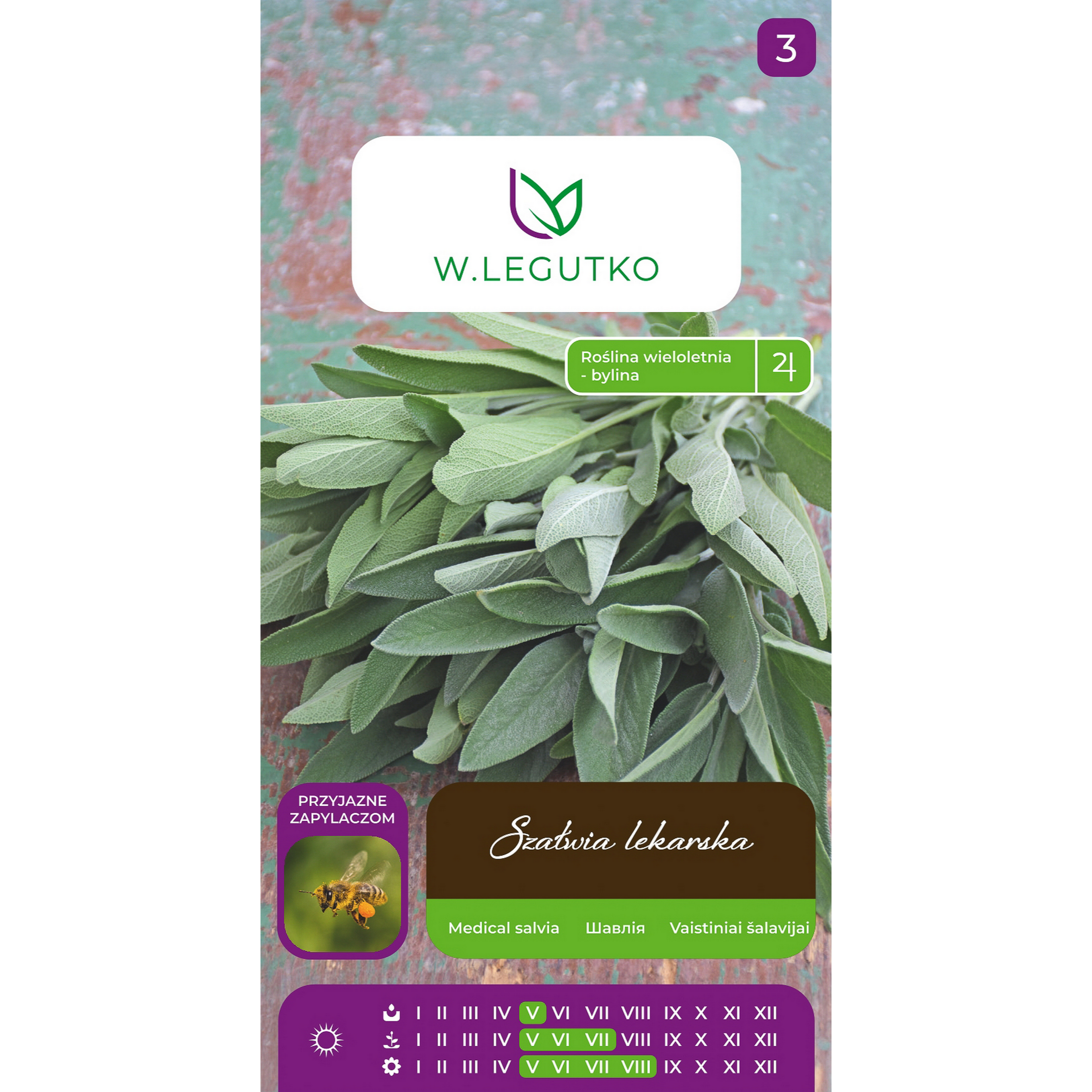 Szałwia lekarska Salvia officinalis nasiona ziół W.Legutko