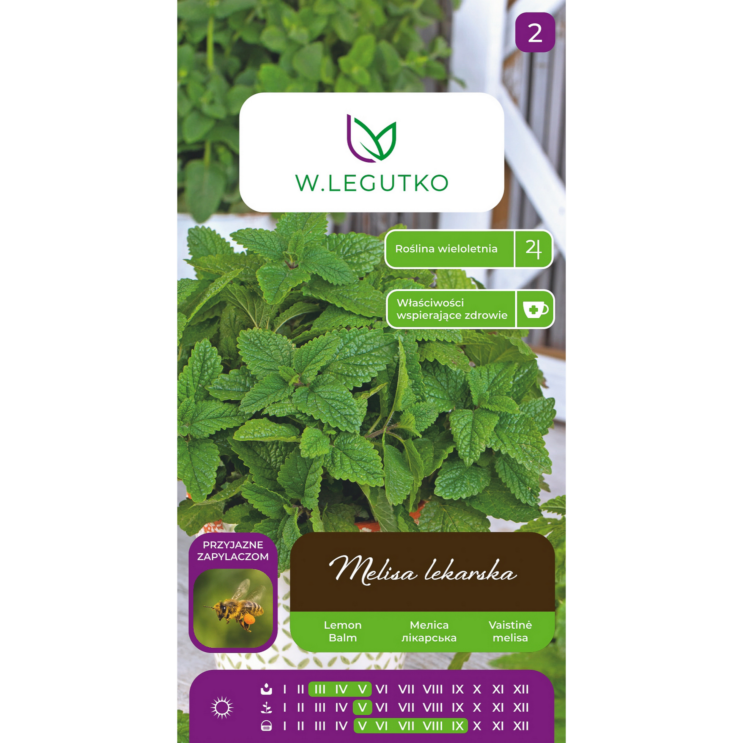 Melisa lekarska Melissa officinalis nasiona ziół W.Legutko