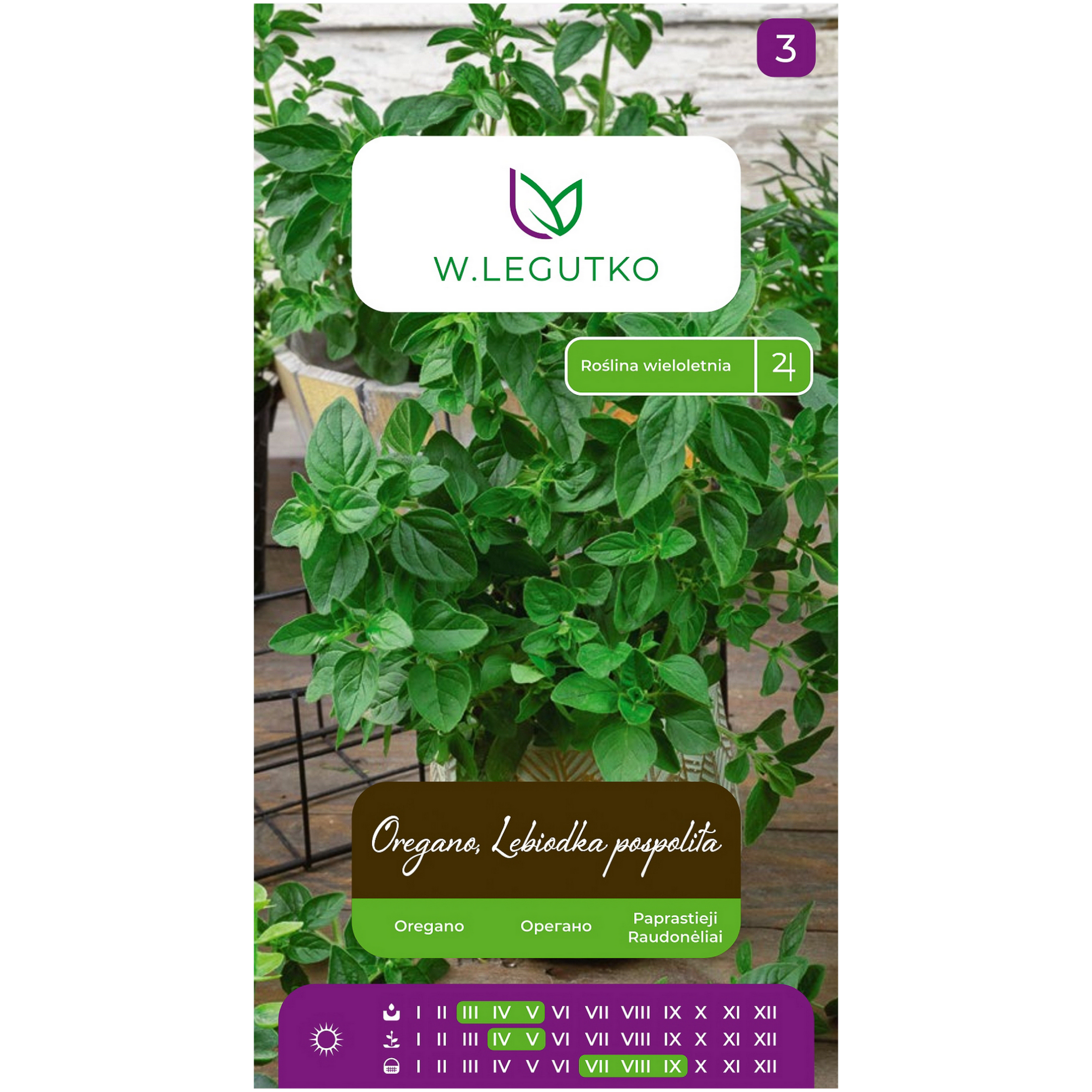 Oregano Lebiodka pospolita nasiona ziół W.Legutko