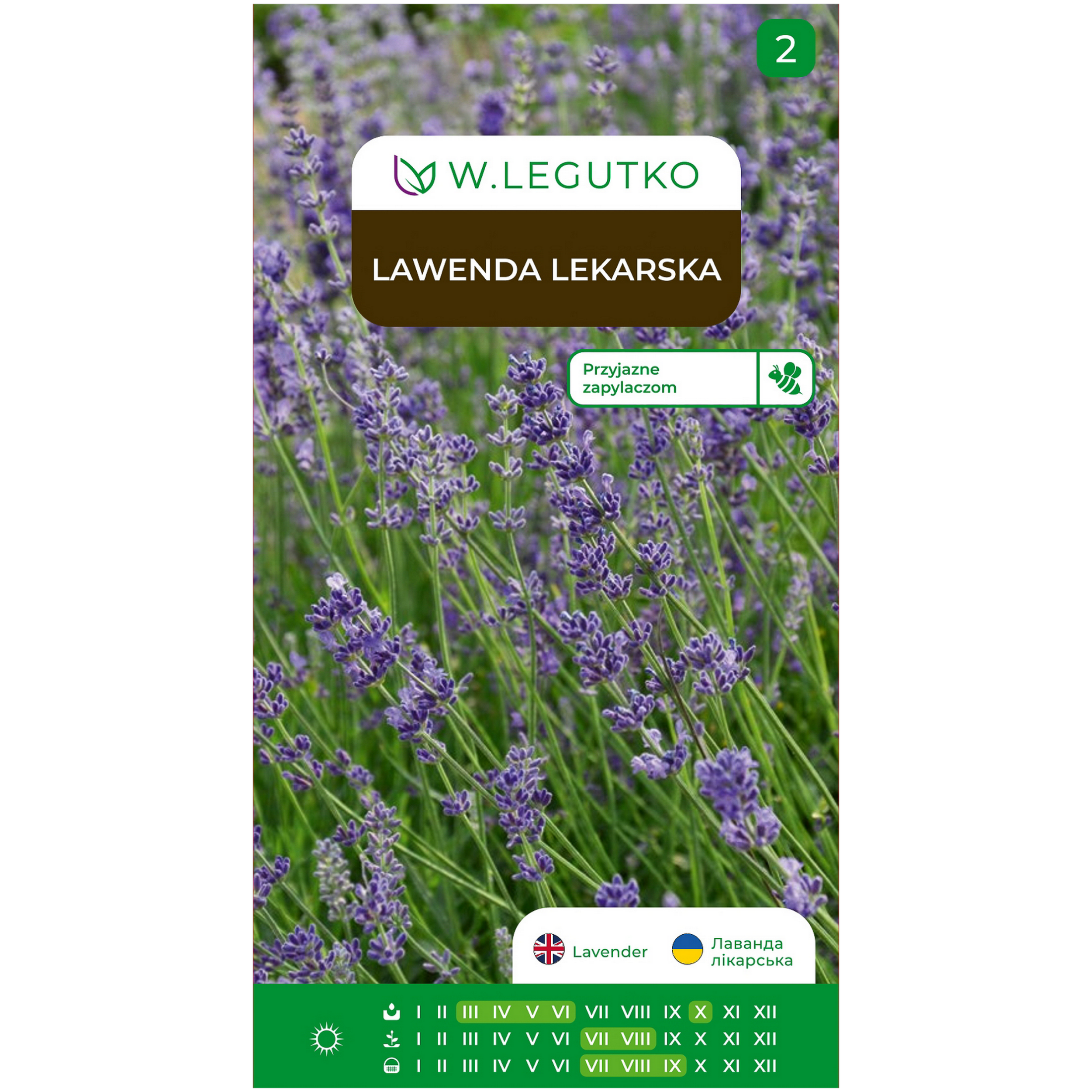 Lawenda lekarska Lavandula officinalis nasiona kwiatów W.Legutko