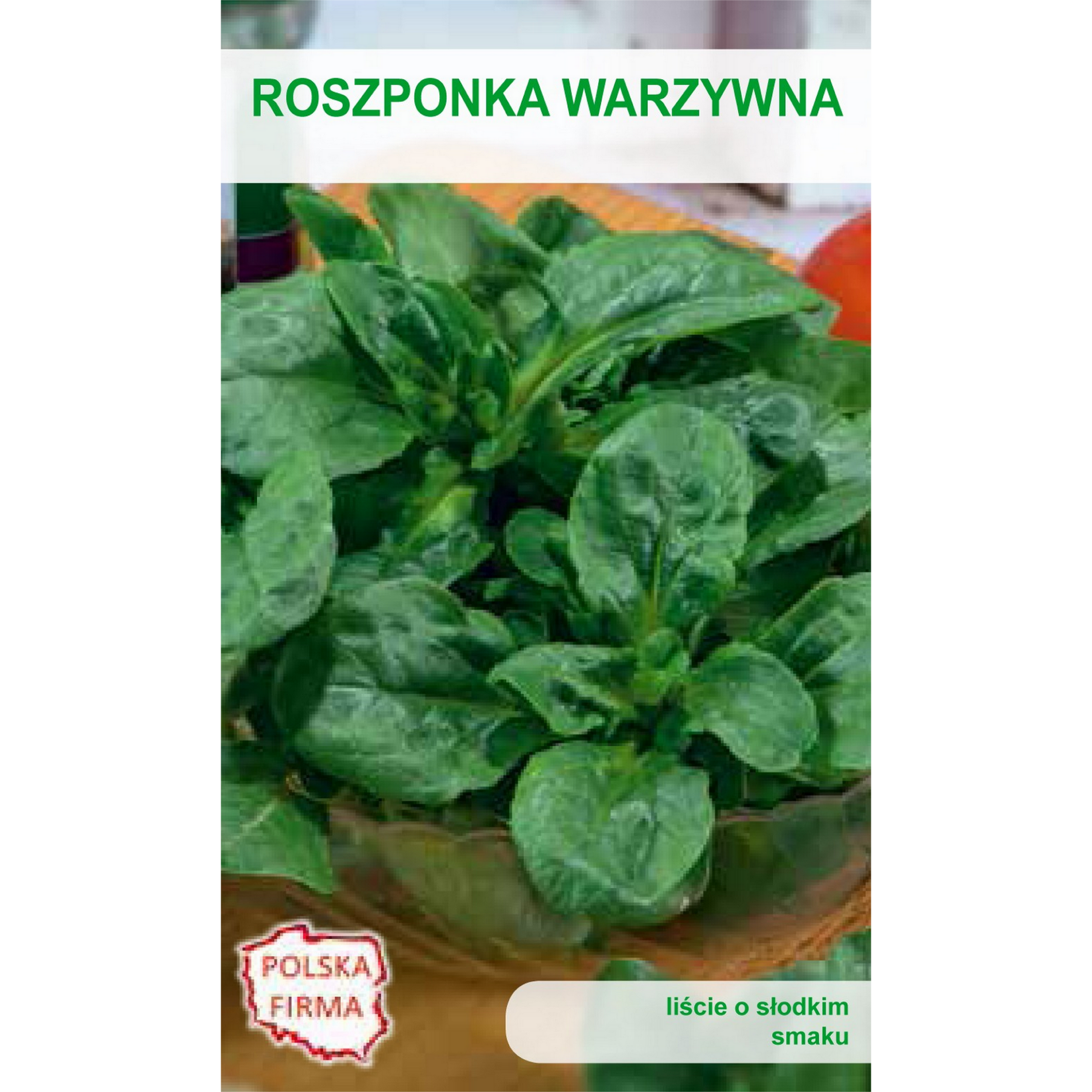 Roszponka warzywna Valerianella locusta nasiona warzyw W.Legutko