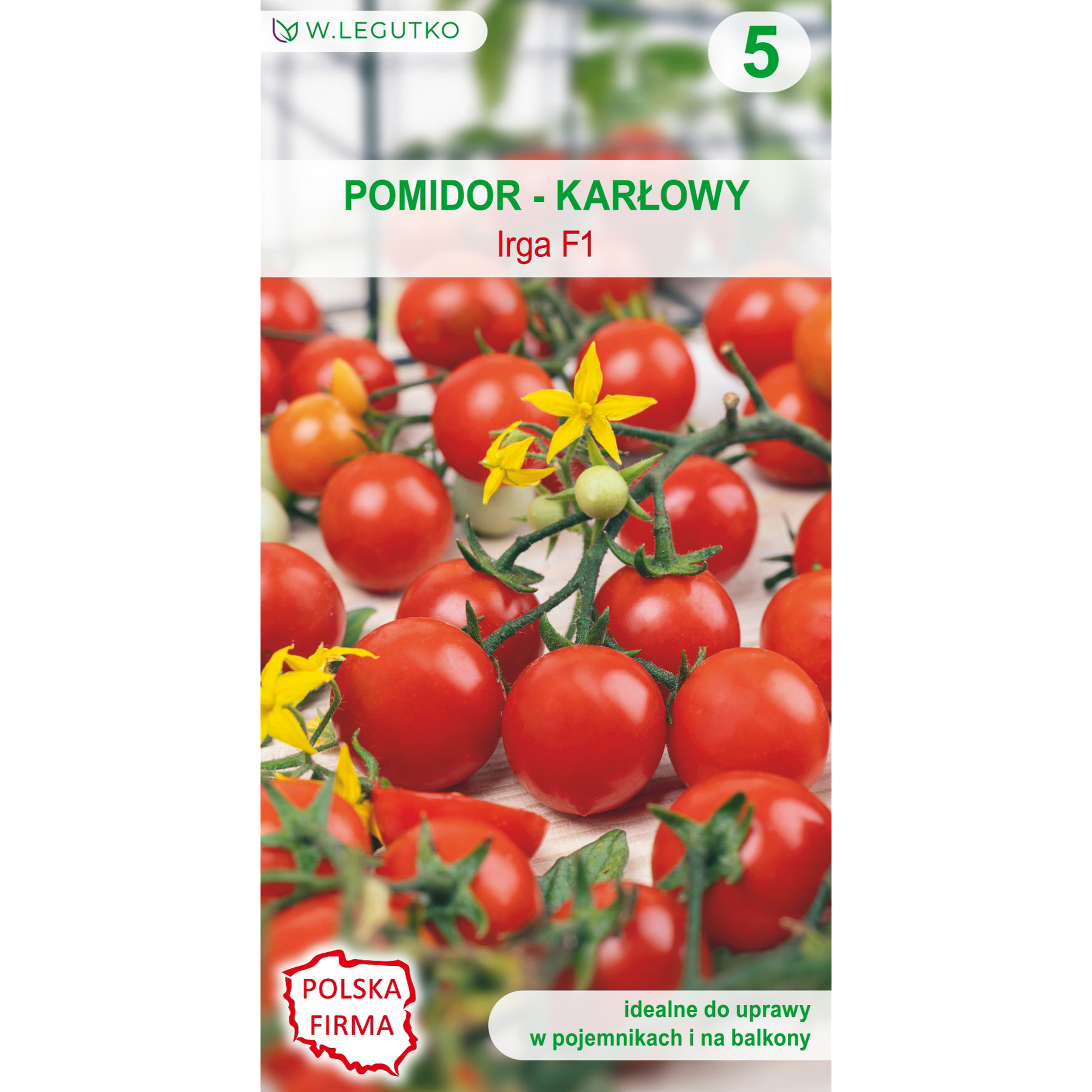 Pomidor karłowy Irga F1 nasiona warzyw W.Legutko