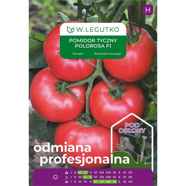 Pomidor tyczny polorosa f1 nasiona warzyw w legutko 98691038