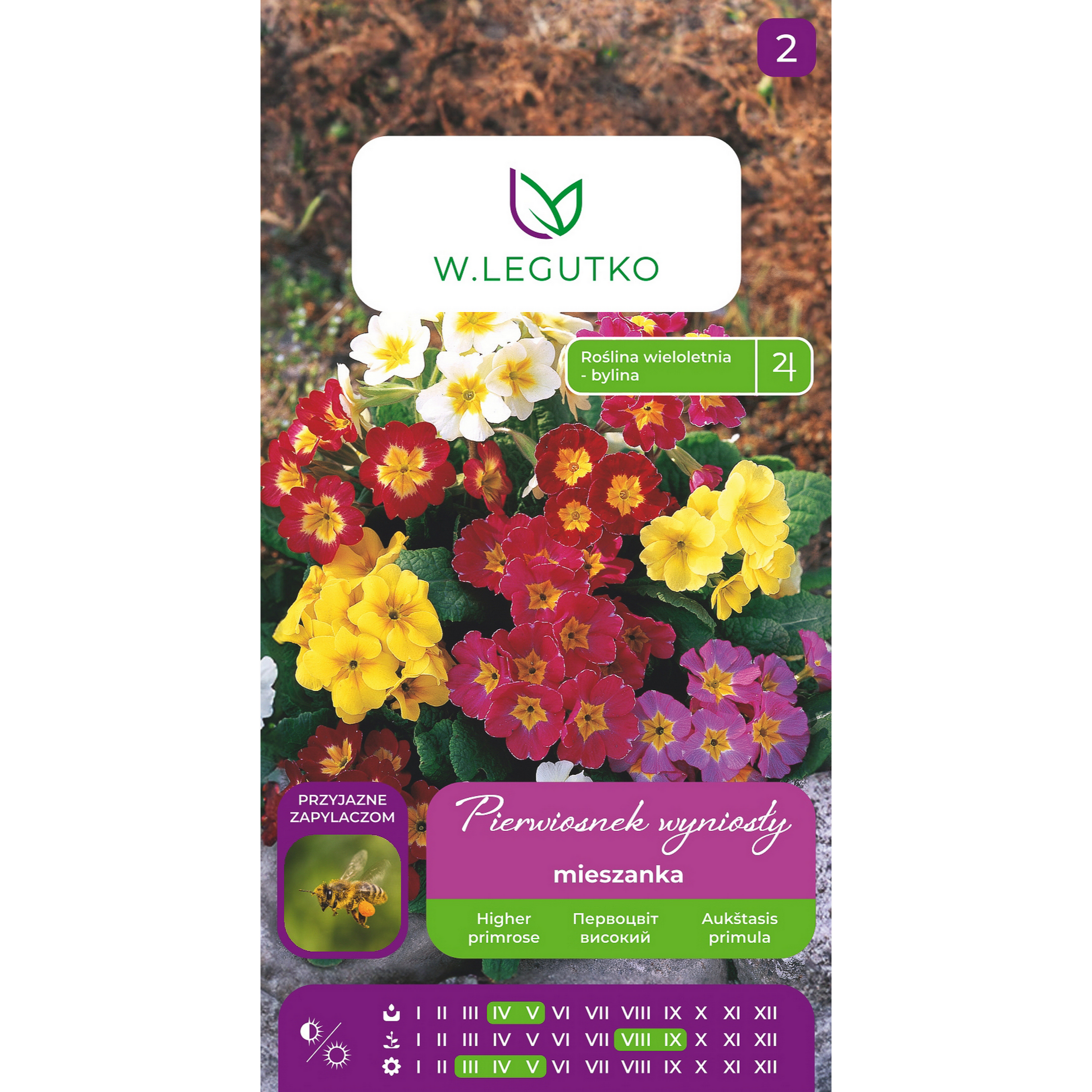 Pierwiosnek wyniosły Primula veris elatior mieszanka nasiona kwiatów W.Legutko