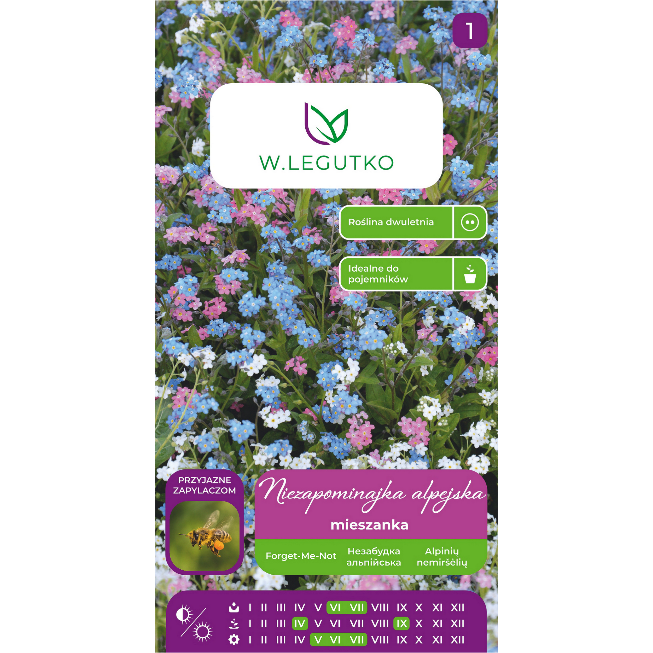 Niezapominajka alpejska Myosotis alpestris mieszanka nasiona kwiatów W.Legutko