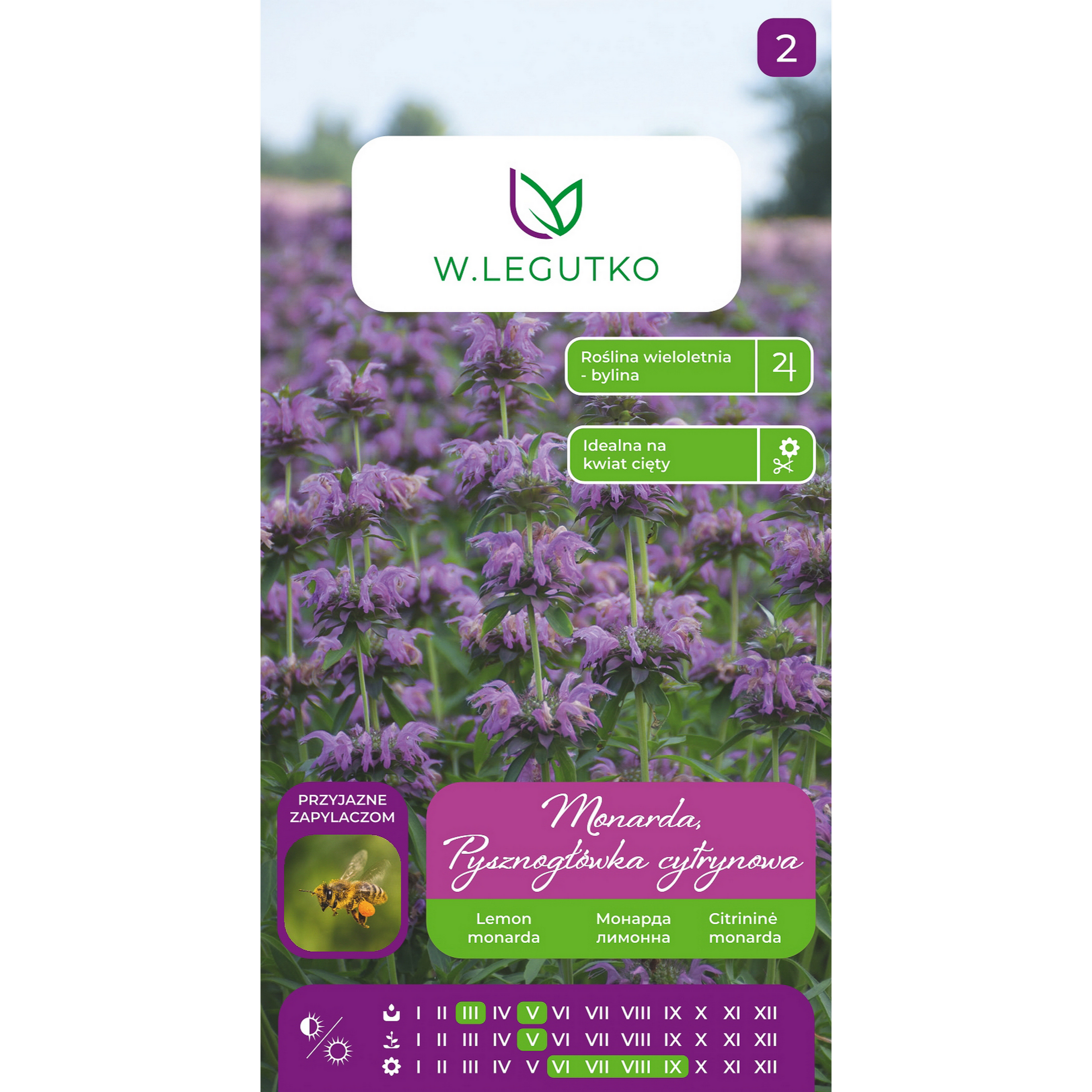 Monarda Pysznogłówka cytrynowa nasiona kwiatów W.Legutko