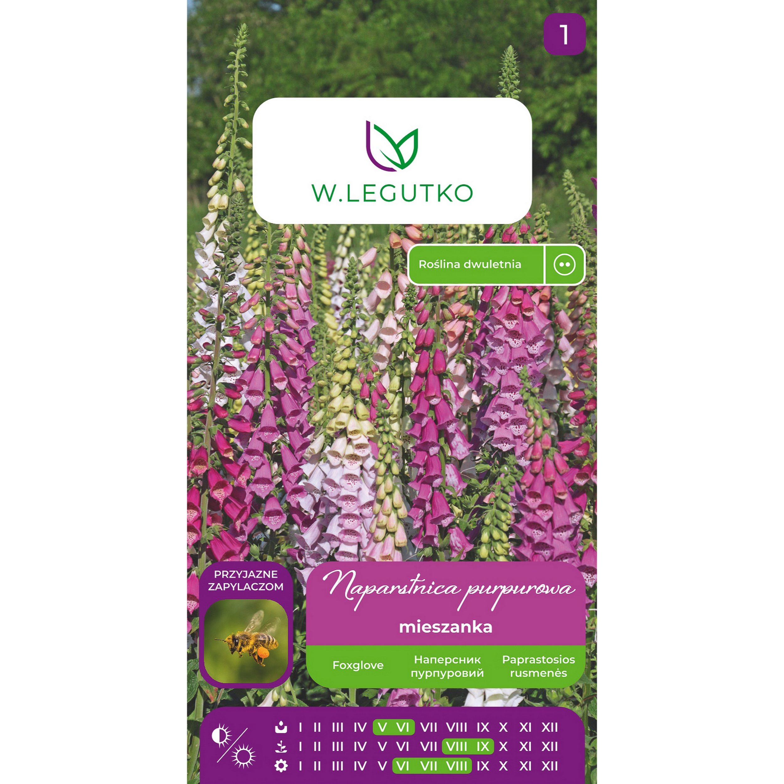 Naparstnica purpurowa Digitalis purpurea mieszanka nasiona kwiatów W.Legutko