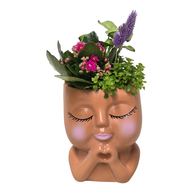 Kompozycja Żyworódka + Bluszcz 25 cm