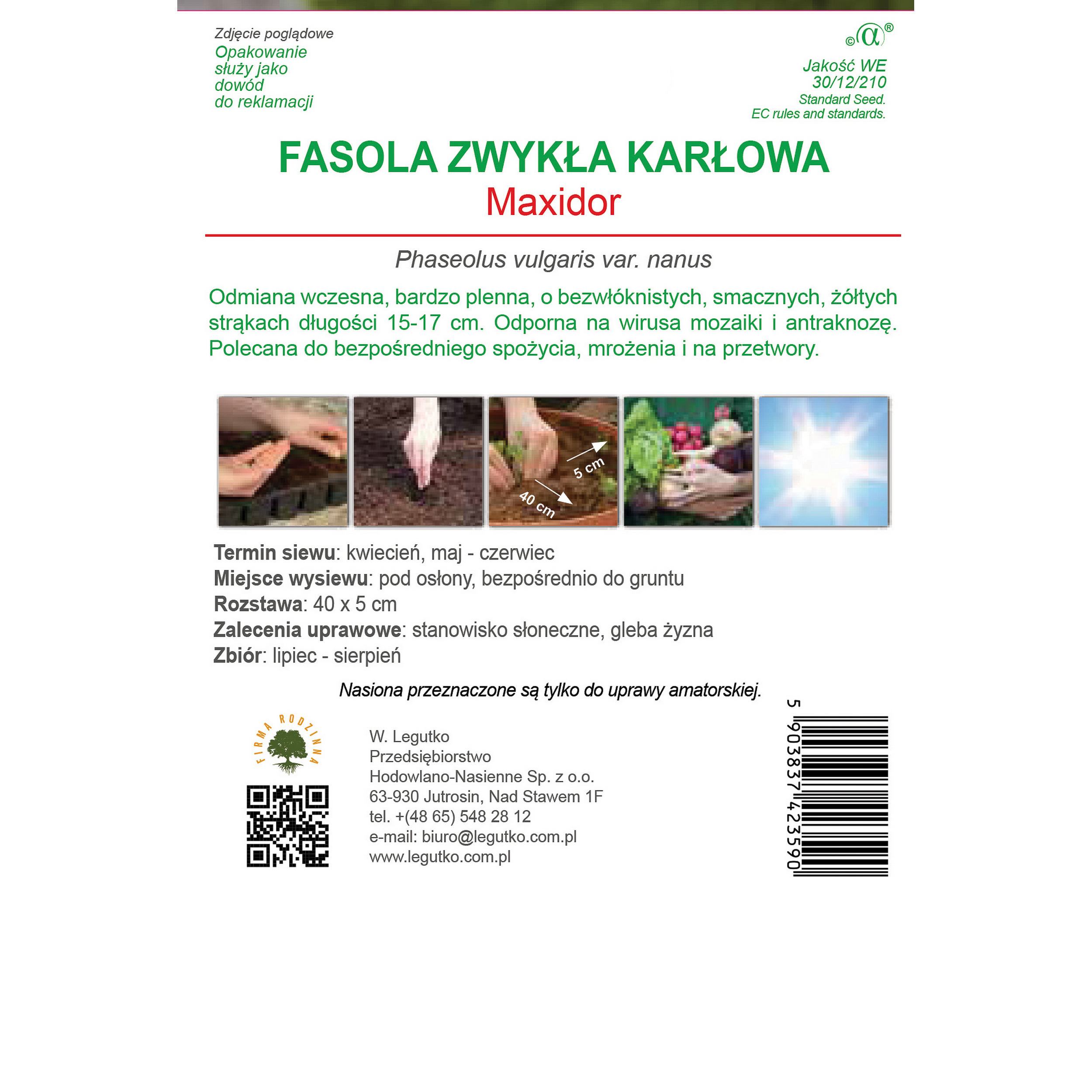 Fasolka szparagowa Maxidor nasiona warzyw W.Legutko