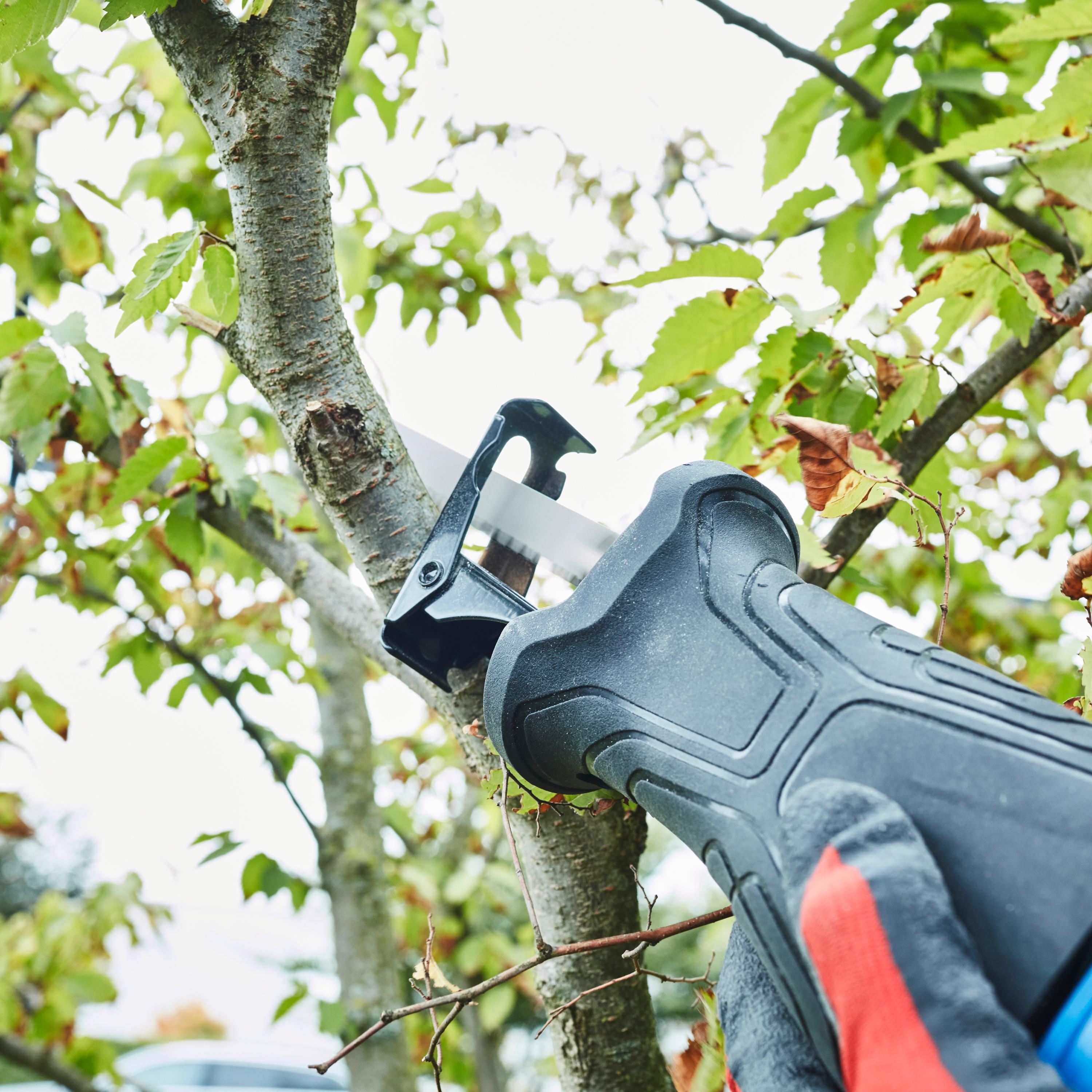 Brzeszczot piły szablastej 240 mm DO DREWNA 2 szt. DEXTER - Leroy